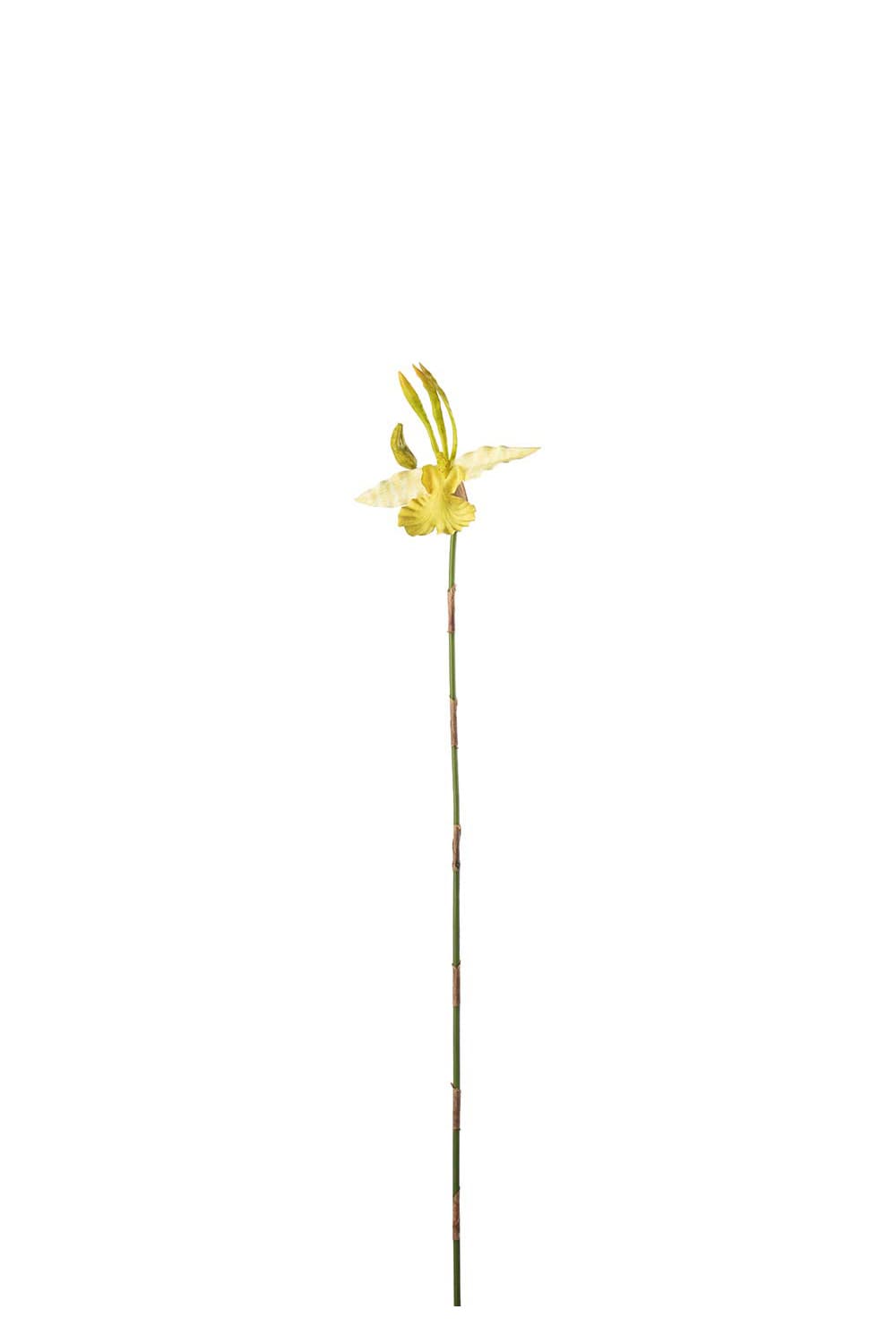 Konstgjord gul Psychopsis 80cm