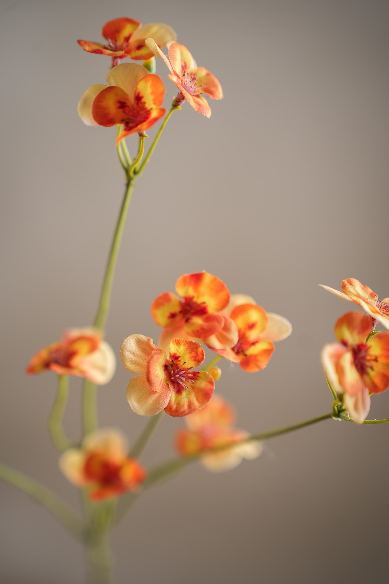Konstgjord orange Pensé 63cm