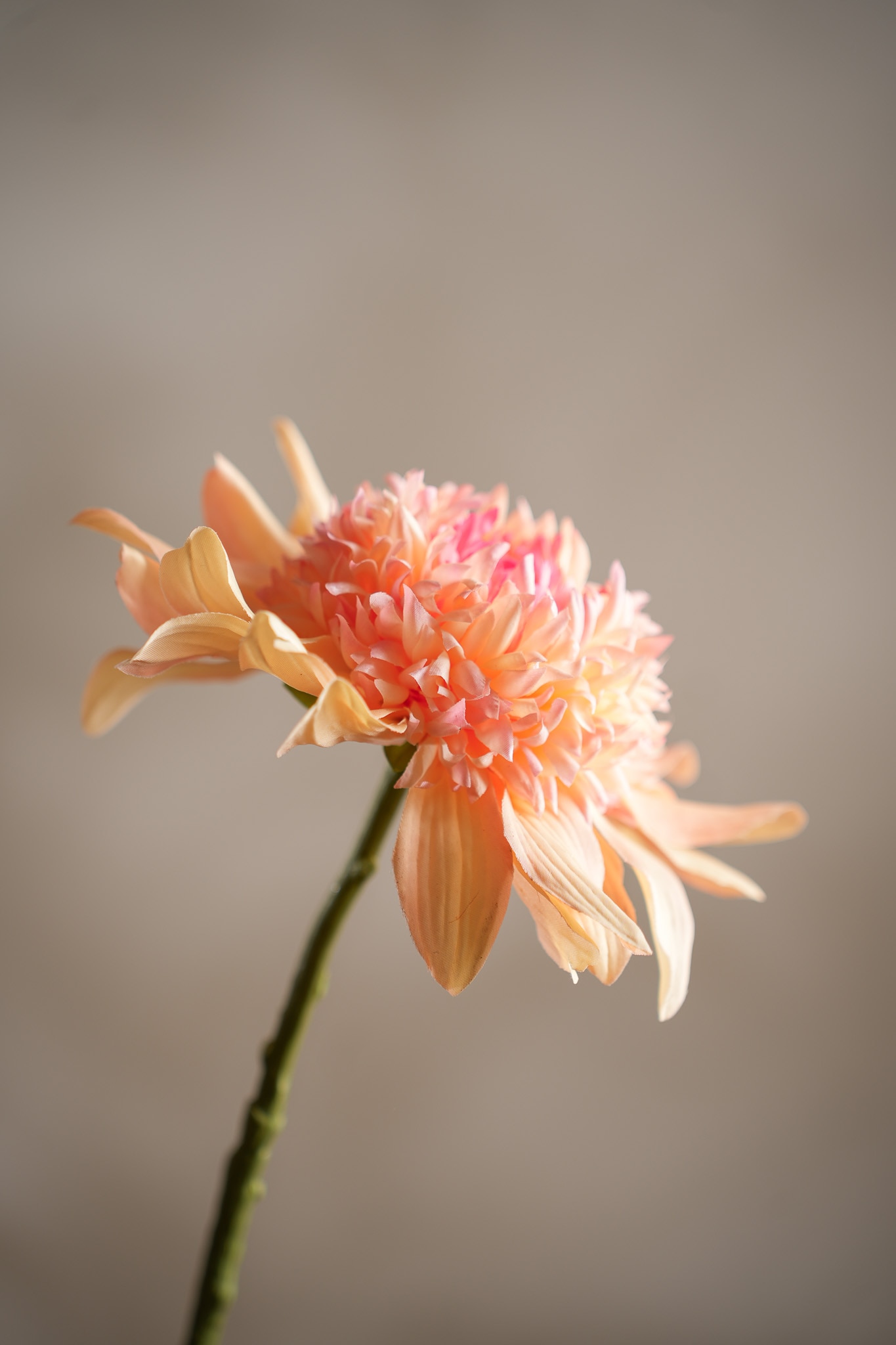 Konstgjord persikofärgad Dahlia 62cm