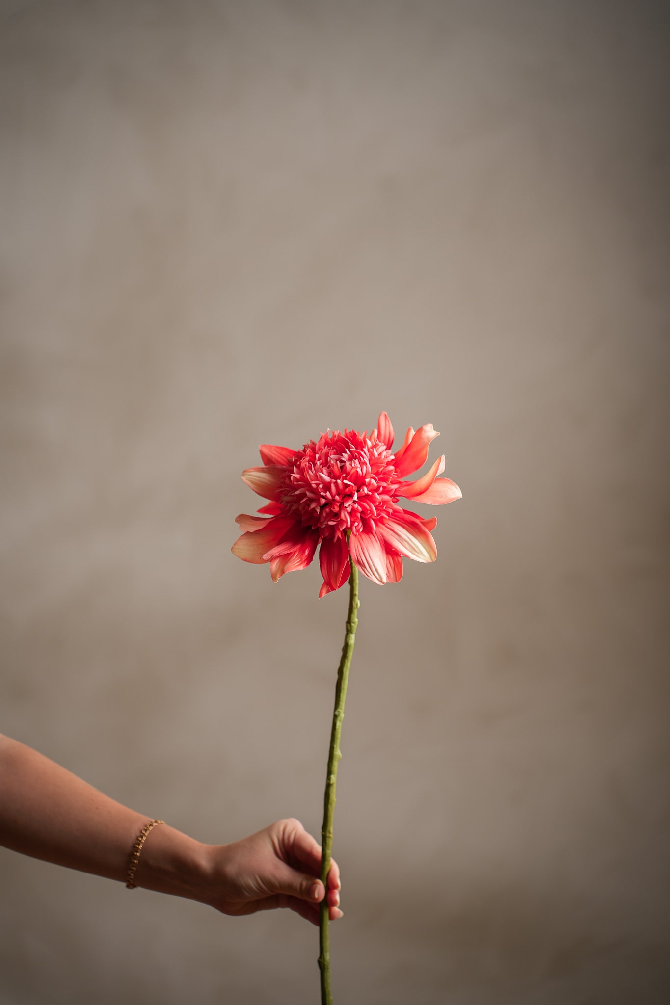 Konstgjord korallfärgad Dahlia 62cm