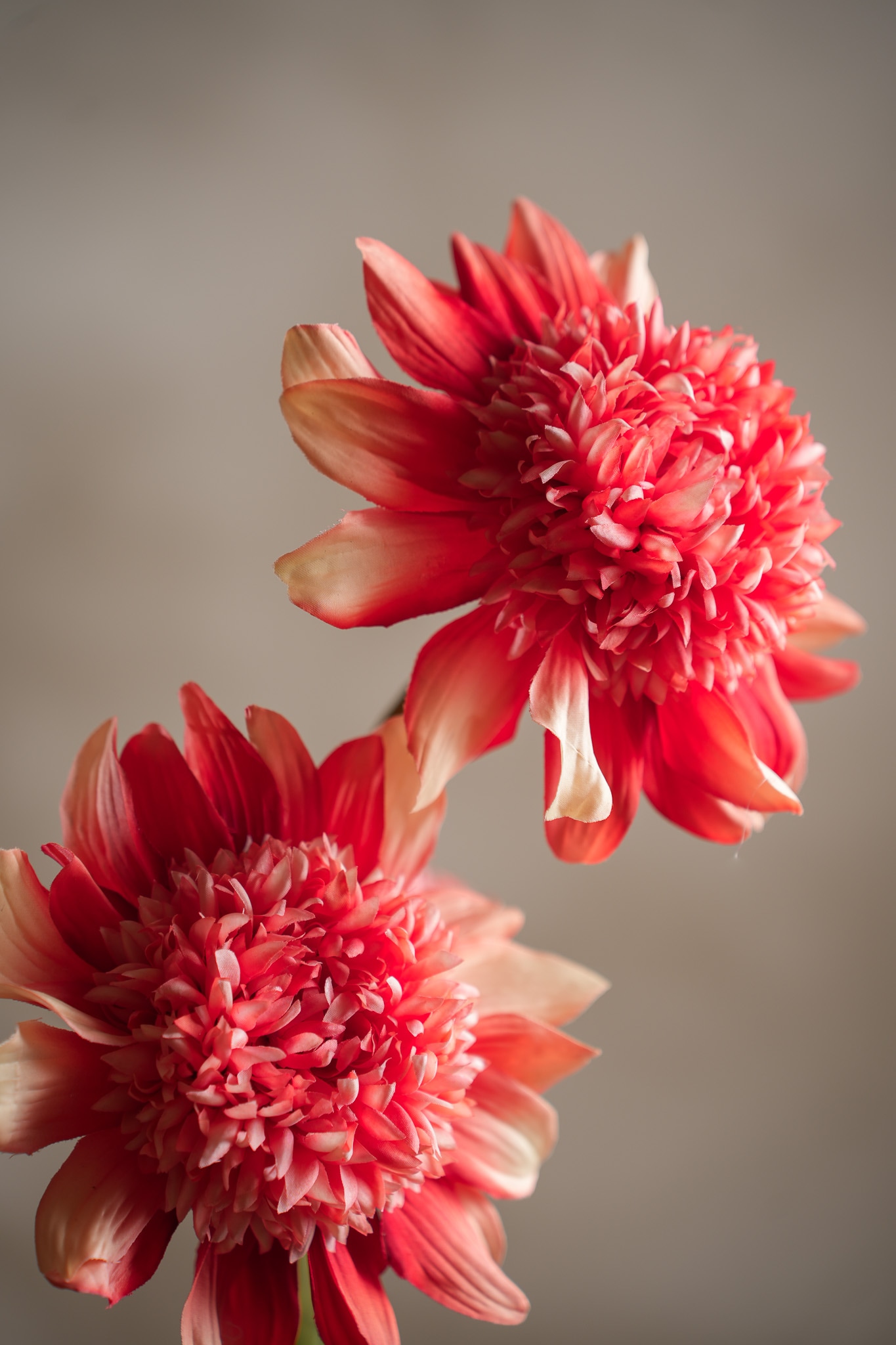 Konstgjord korallfärgad Dahlia 95cm
