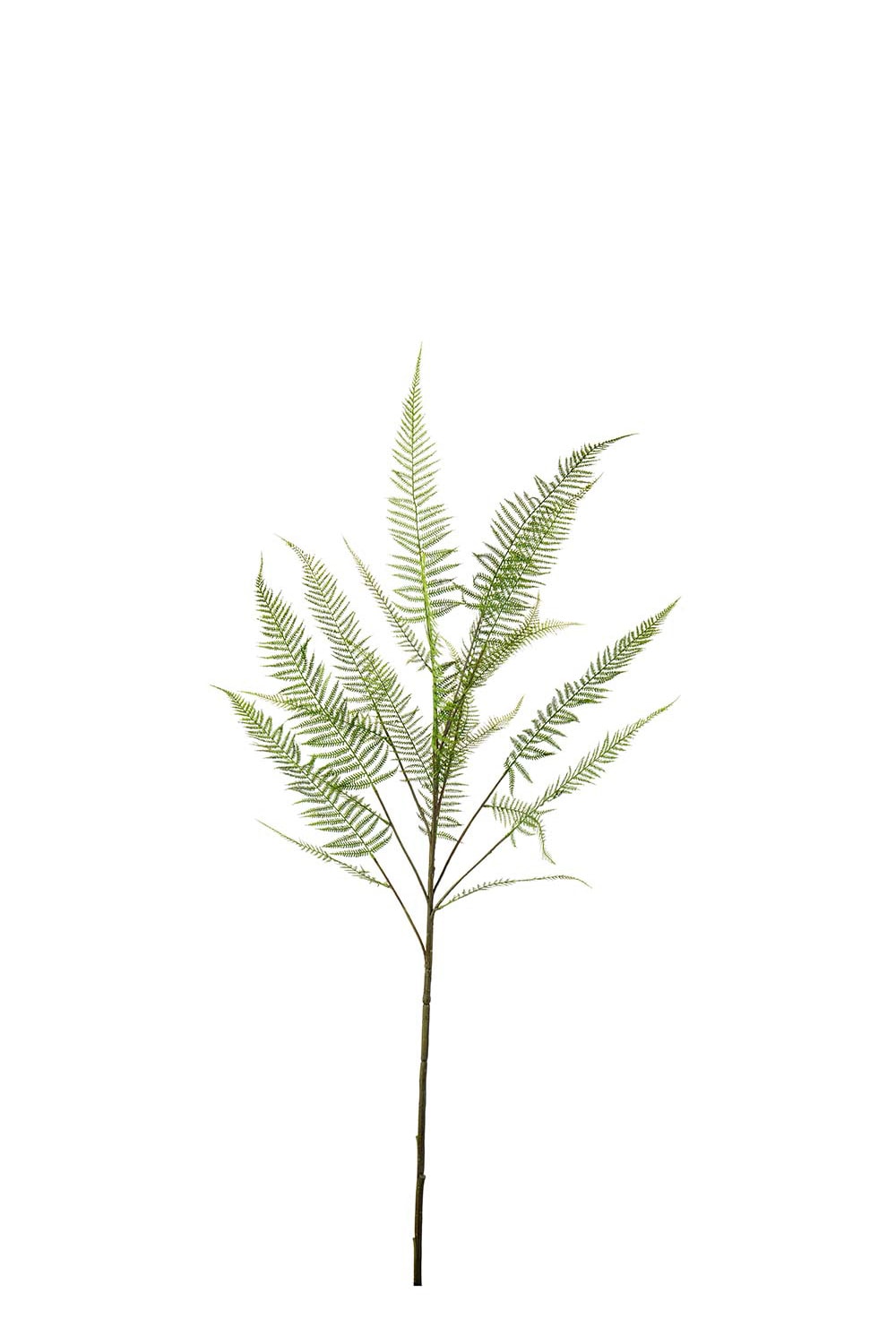 Konstgjord grön Ormbunke 140cm