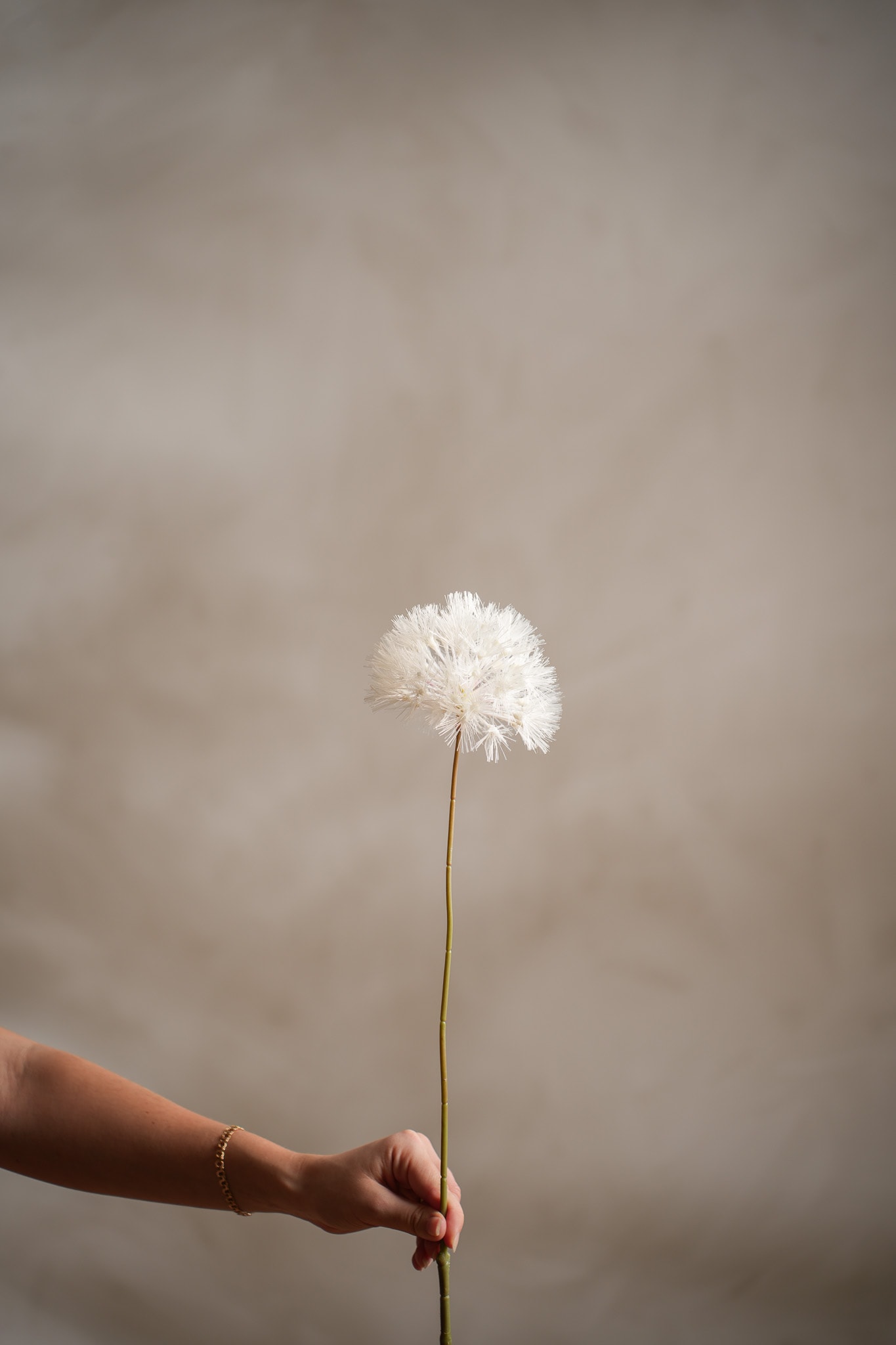 Konstgjord cremefärgad Dandelion 70cm