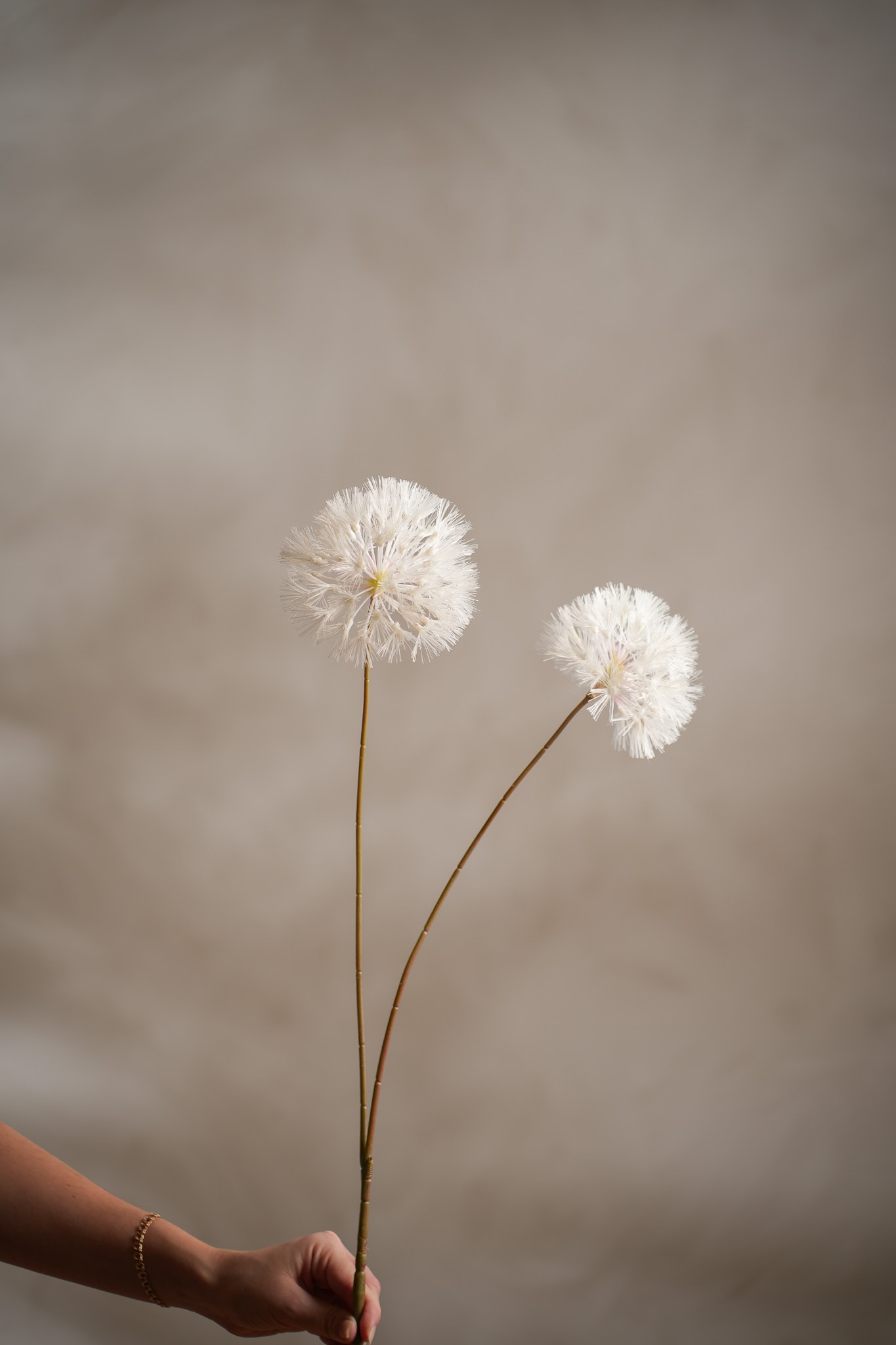 Konstgjord cremefärgad Dandelion 110cm