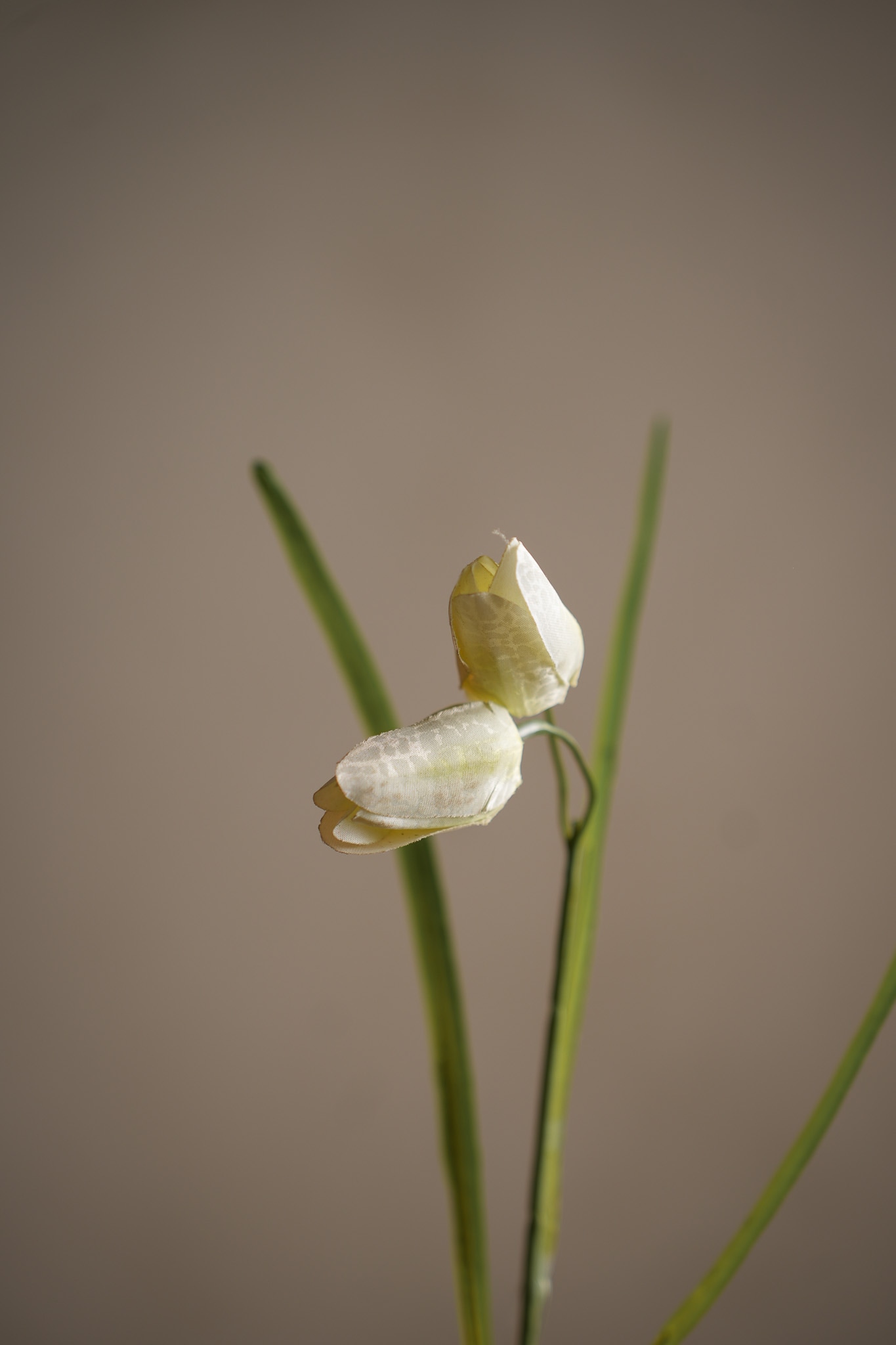 Konstgjord cremefärgad Fritillaria 50cm