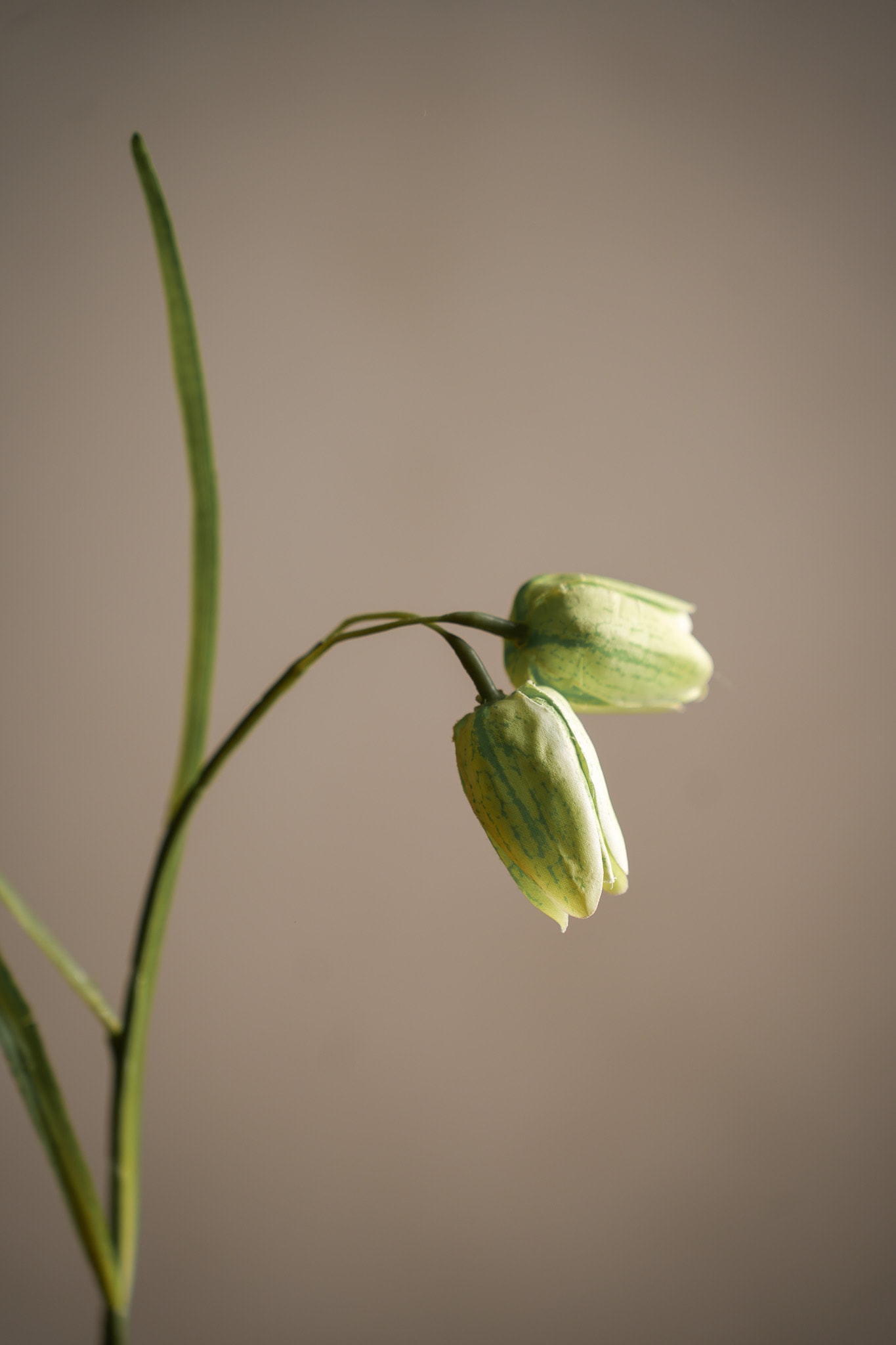 Konstgjord grön Fritillaria 50cm