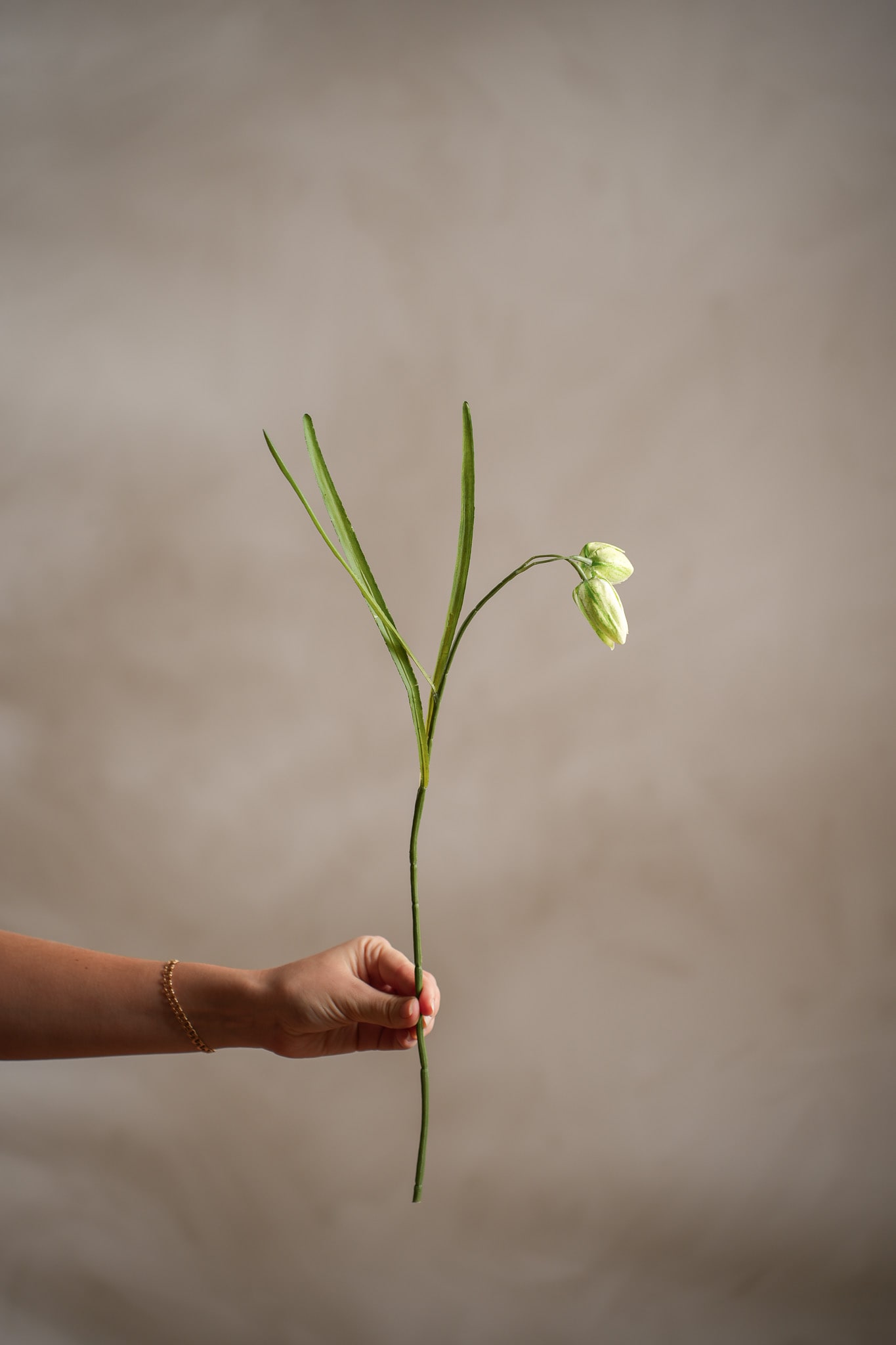 Konstgjord grön Fritillaria 50cm