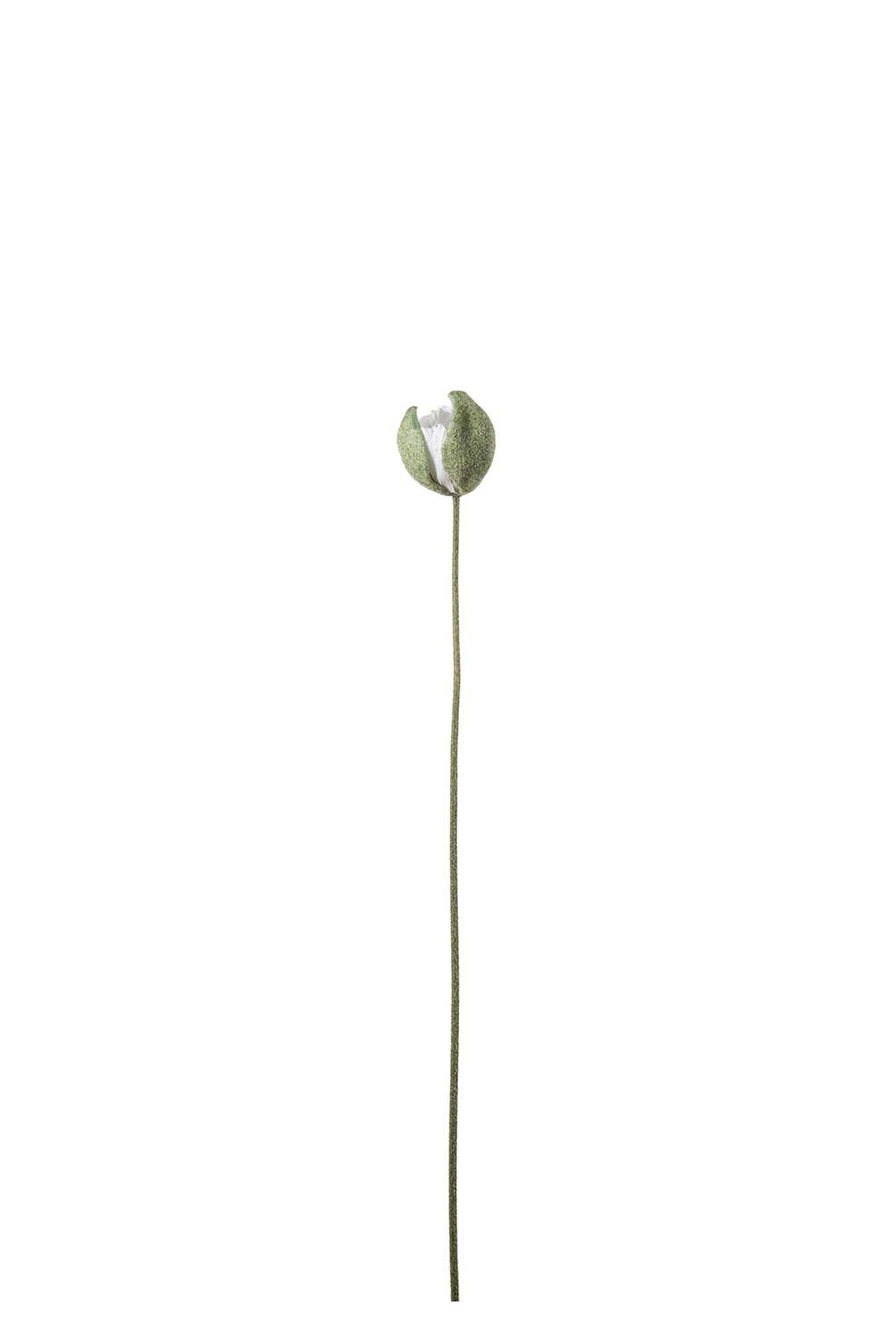Konstgjord cremefärgad Vallmoknopp 78cm