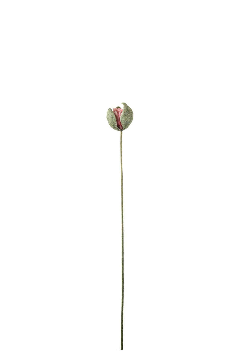 Konstgjord rosa Vallmoknopp 78cm