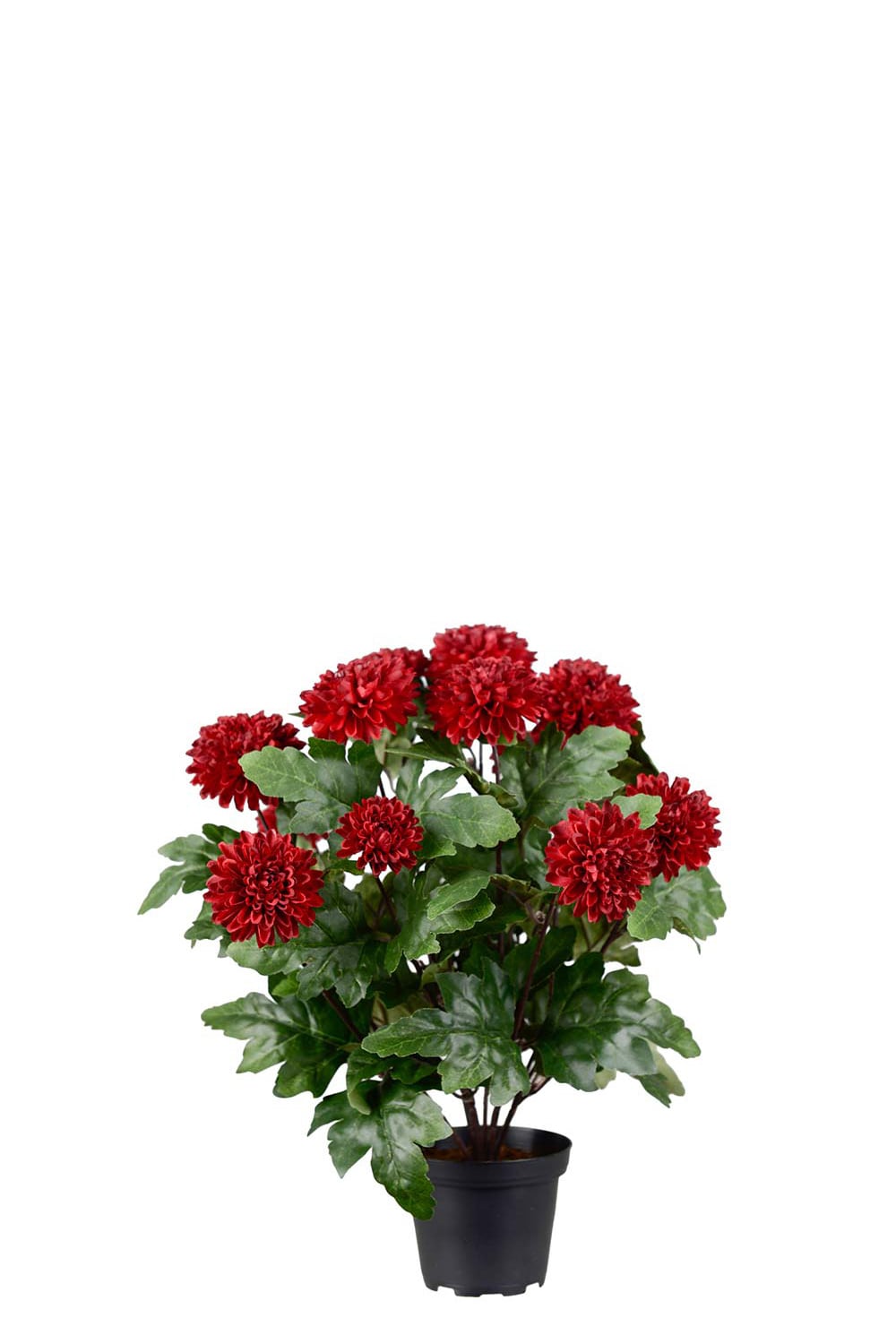 Konstgjord burgundy Chrysanthemum 30cm