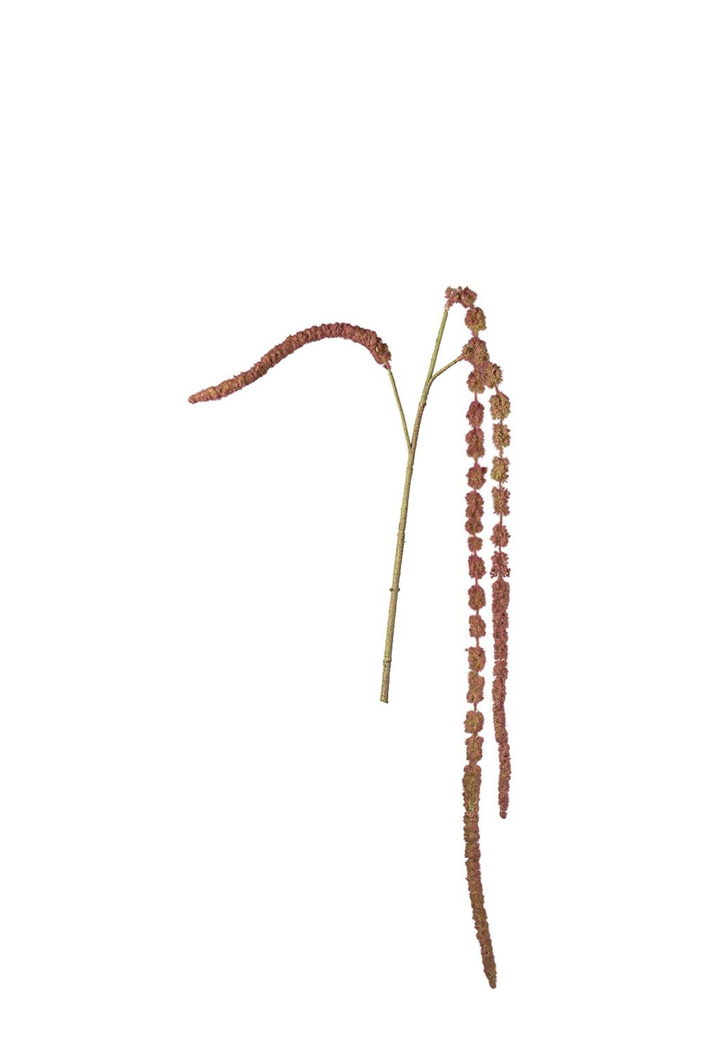 Konstgjord röd Amaranthus 55cm