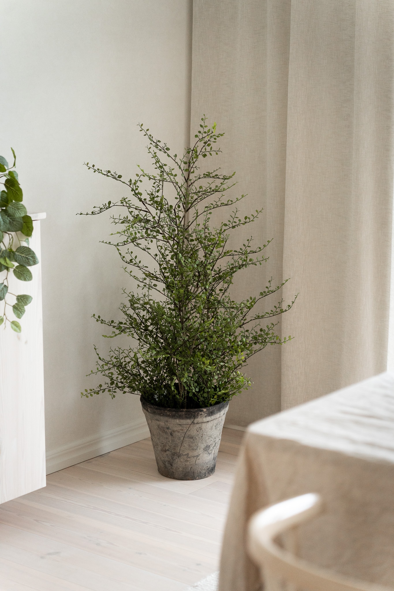 Konstgjord grön Muehlenbeckia 120cm