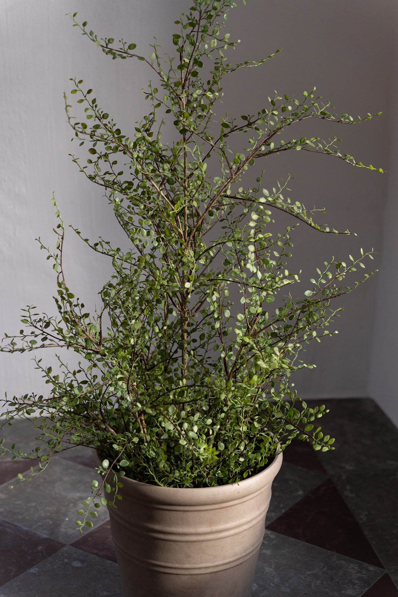 Konstgjord grön Muehlenbeckia 120cm