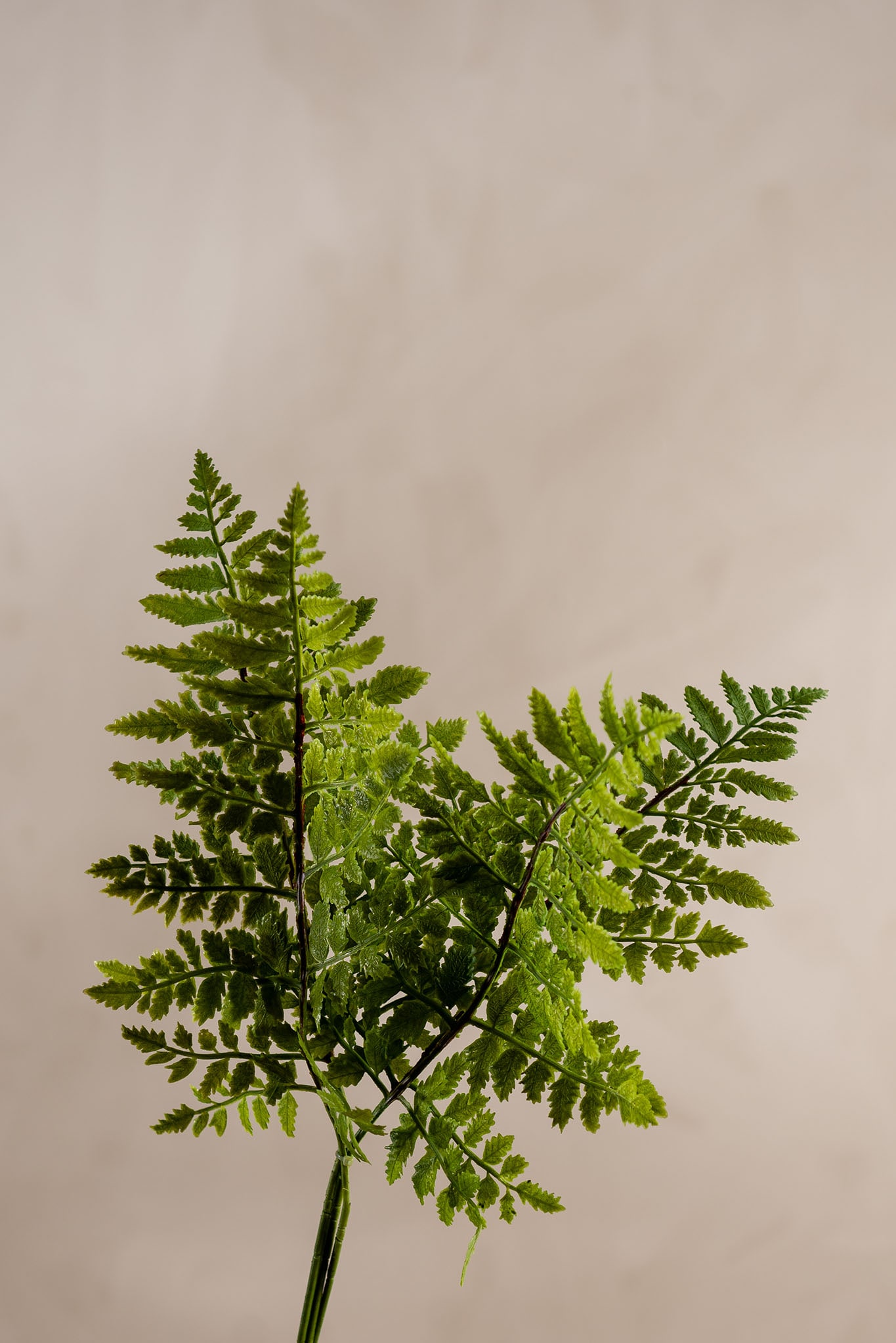 Konstgjord grön Ormbunksblad 4 st 50cm