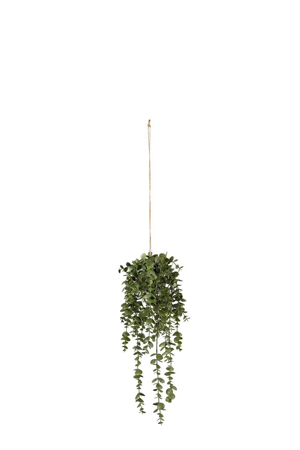 Konstgjord grön Dischidia 45cm