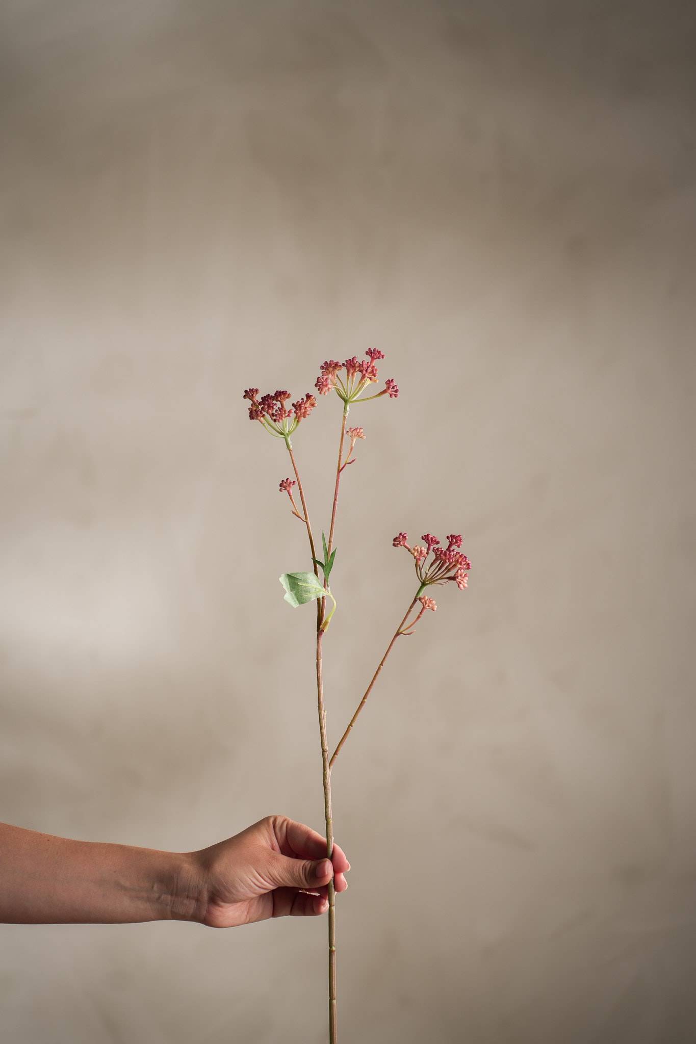 Konstgjord rosa Angelica 58cm