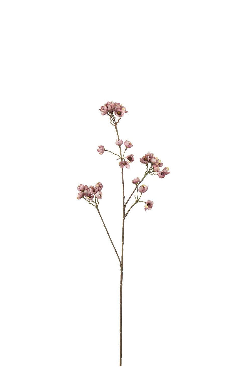 Konstgjord brun Persikoblom 67cm