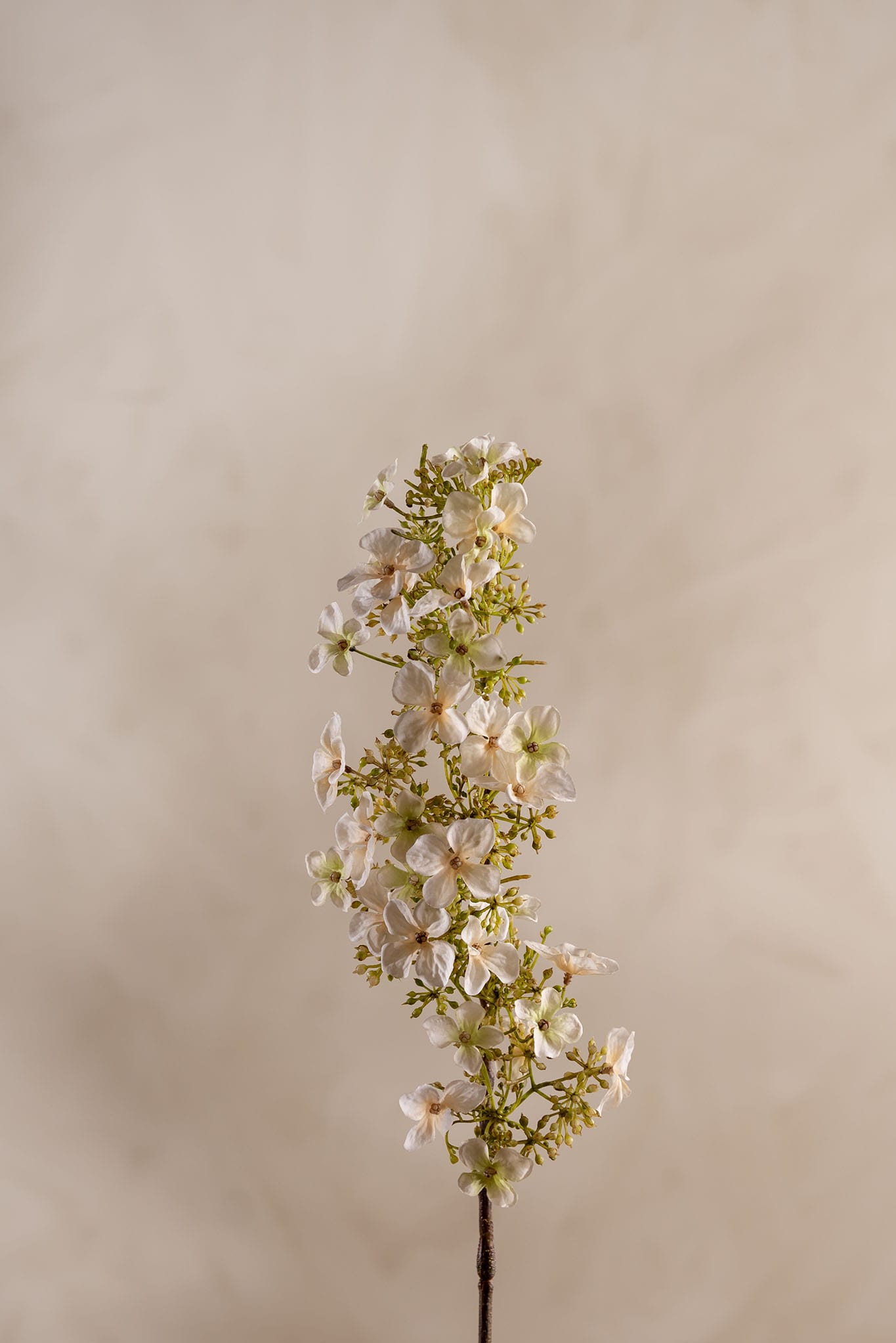 Konstgjord cremefärgad Hortensia 89cm