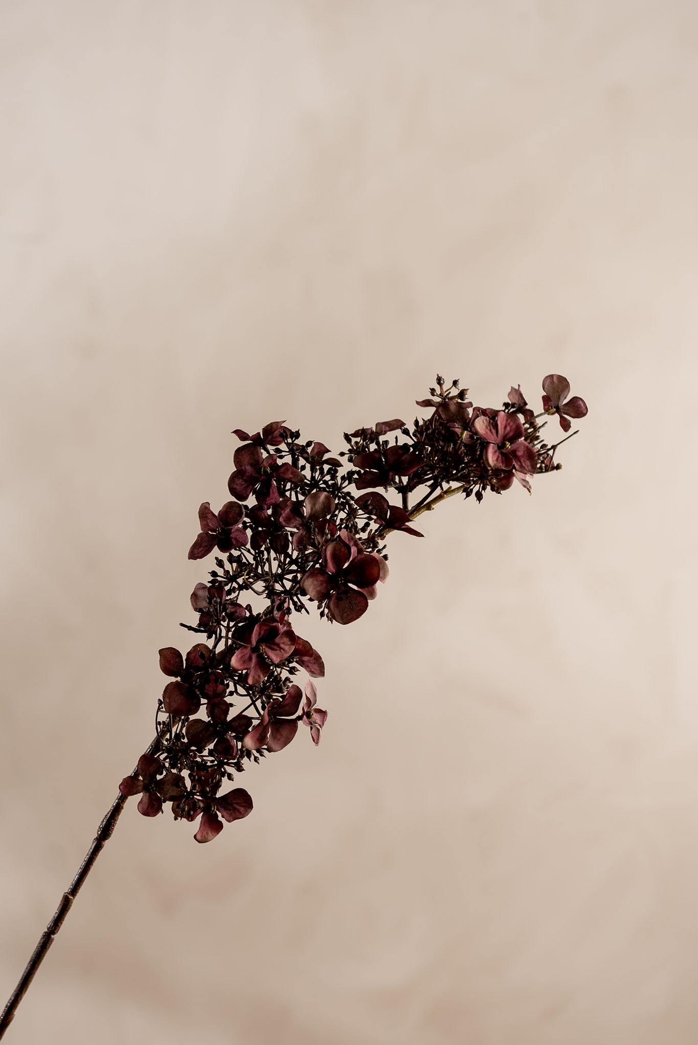 Konstgjord burgundy Hortensia 89cm