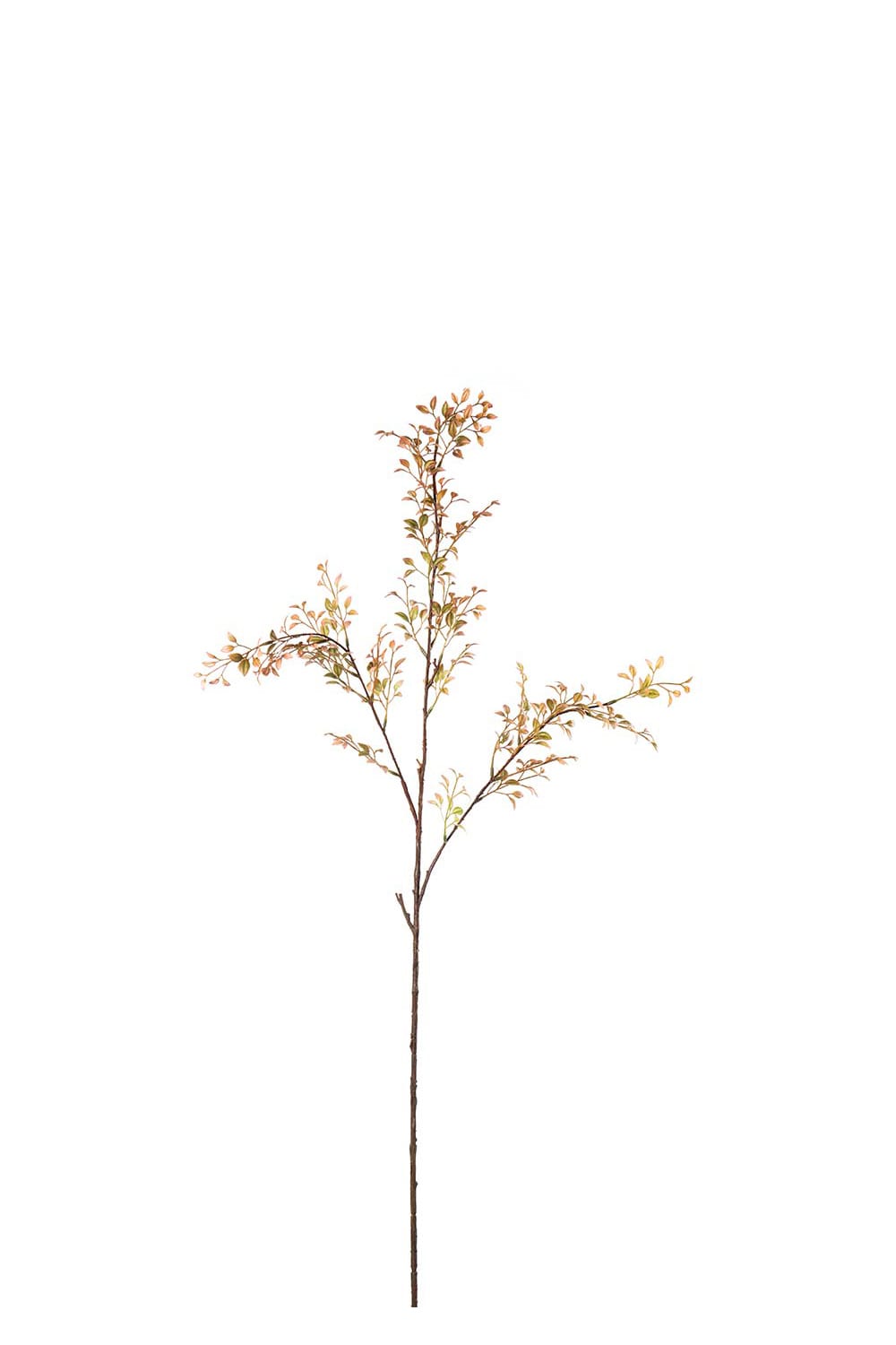 Konstgjord persikofärgad Ruscus 100cm