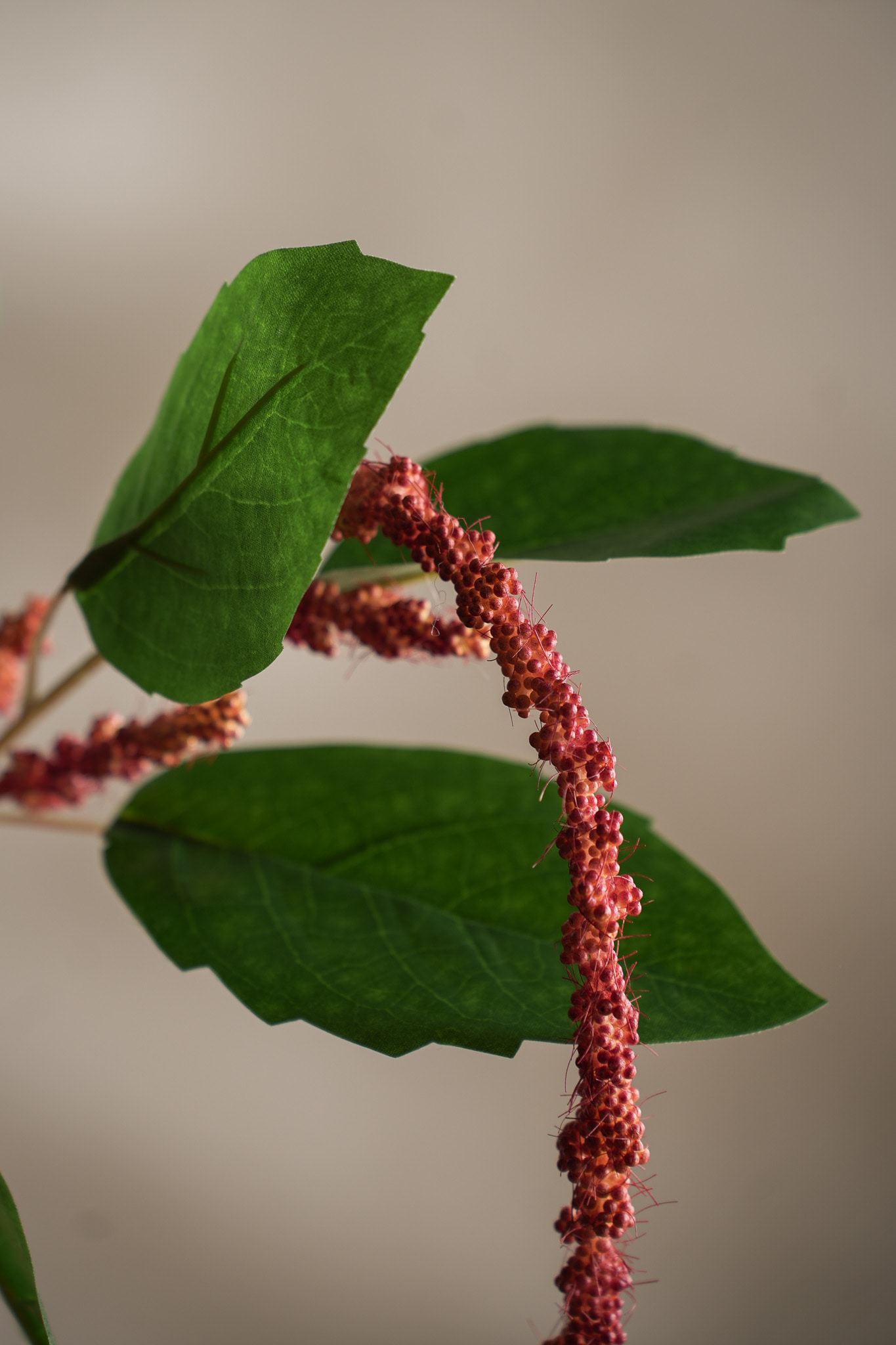 Konstgjord korallfärgad Amaranthus 70cm