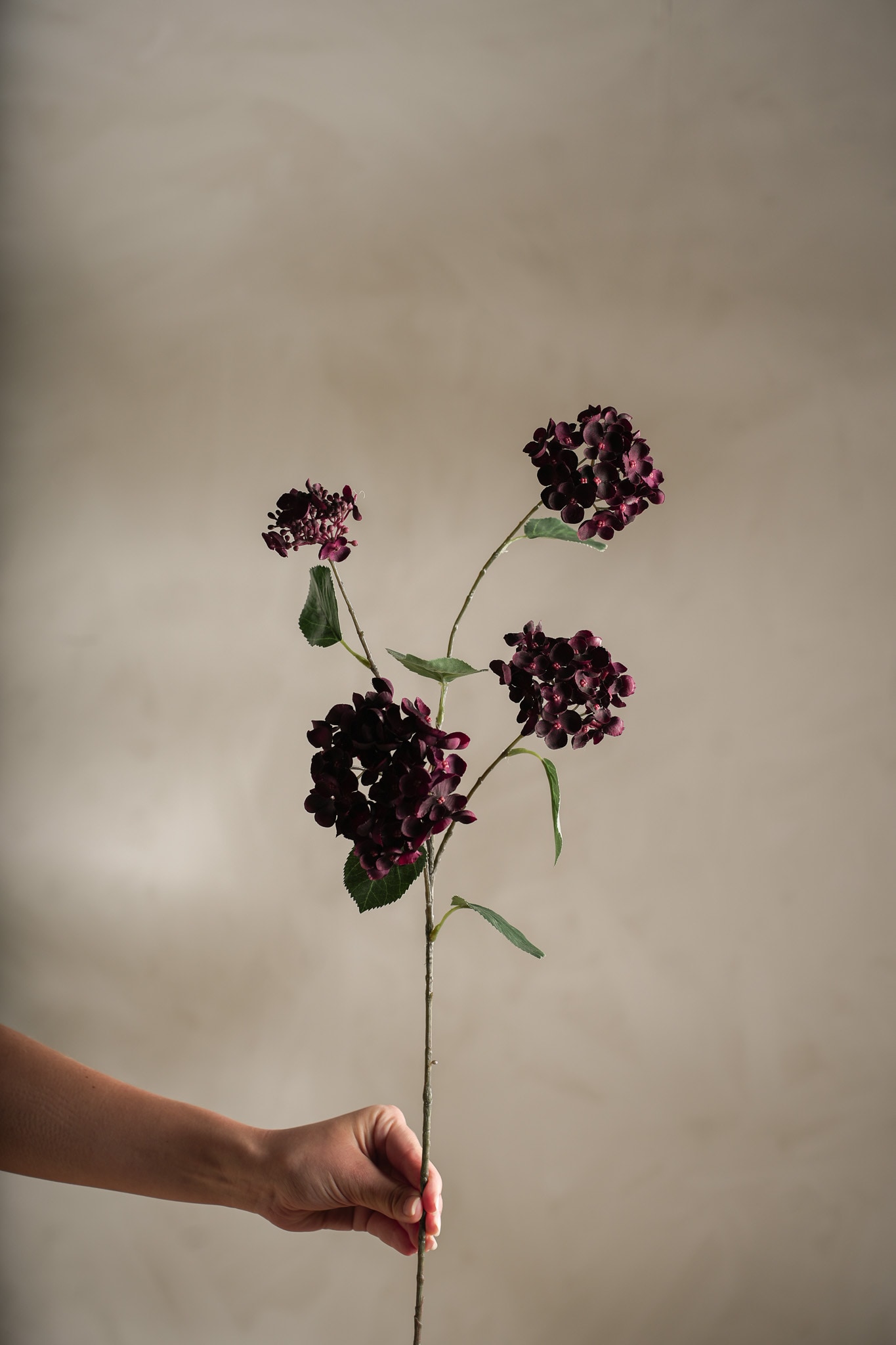 Konstgjord burgundy Hortensia 80cm