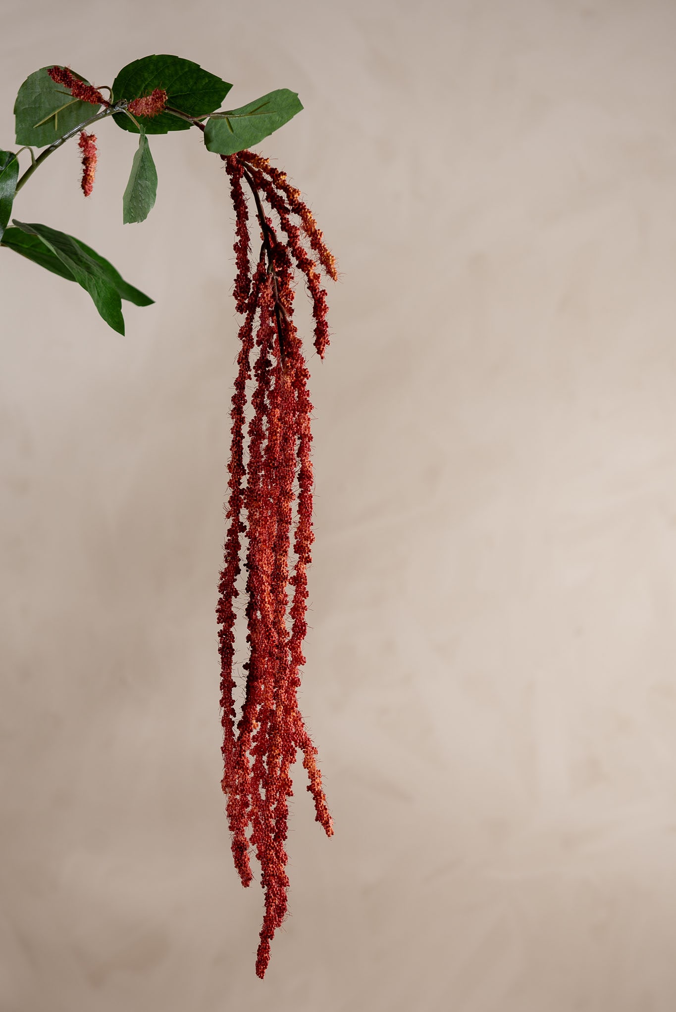 Konstgjord korallfärgad Amaranthus 105cm