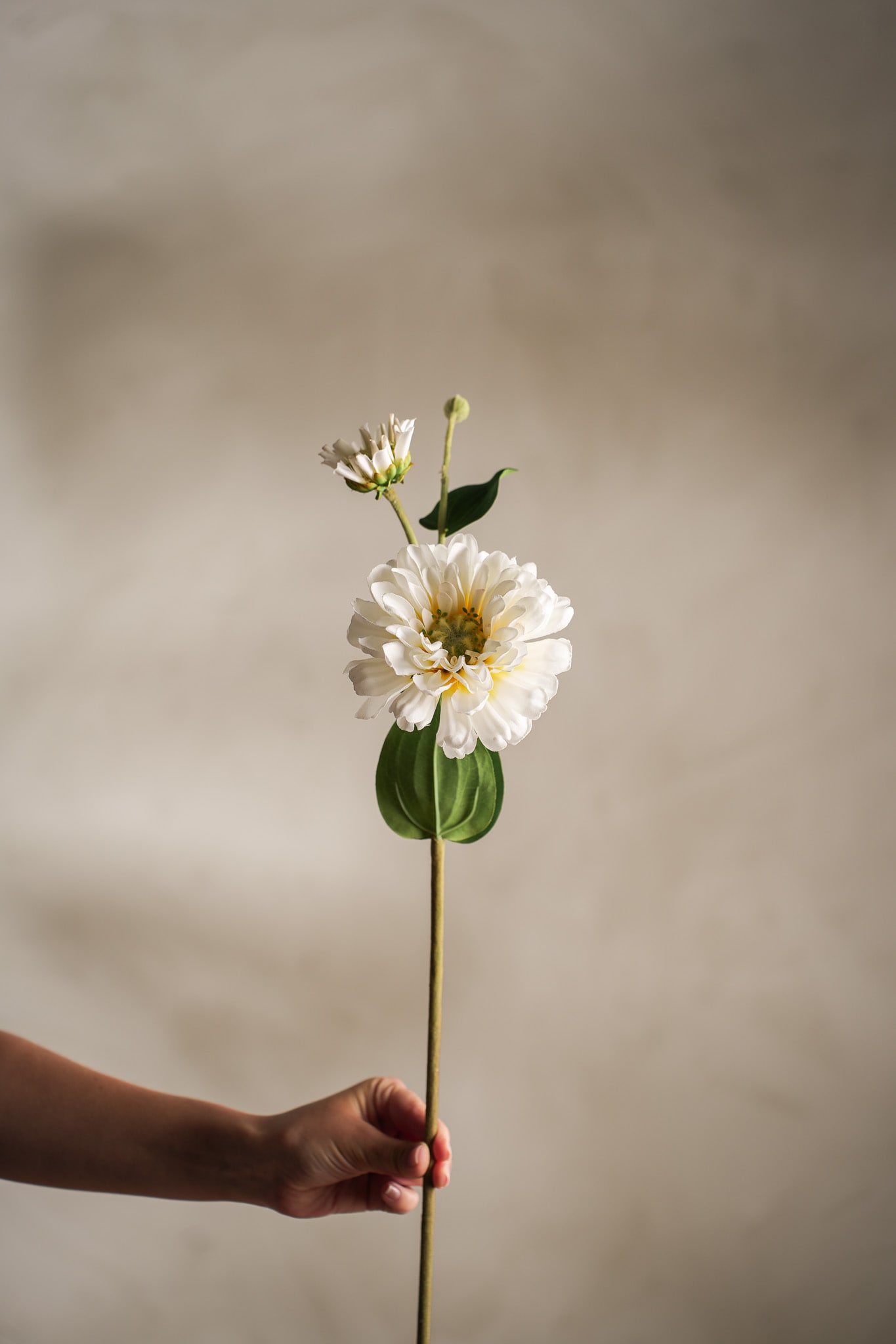 Konstgjord cremefärgad Zinnia 63cm