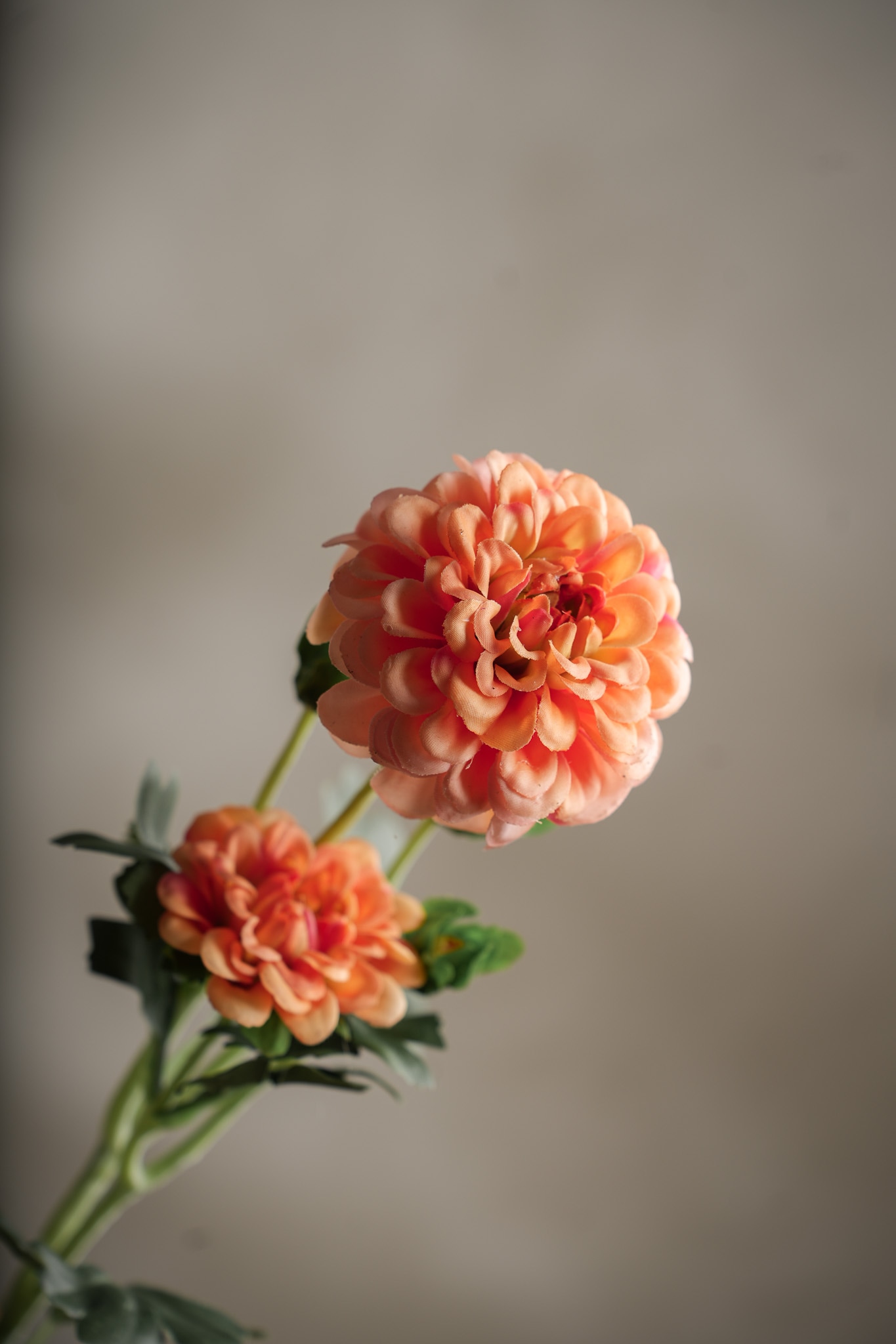 Konstgjord korallfärgad Chrysanthemum 52cm