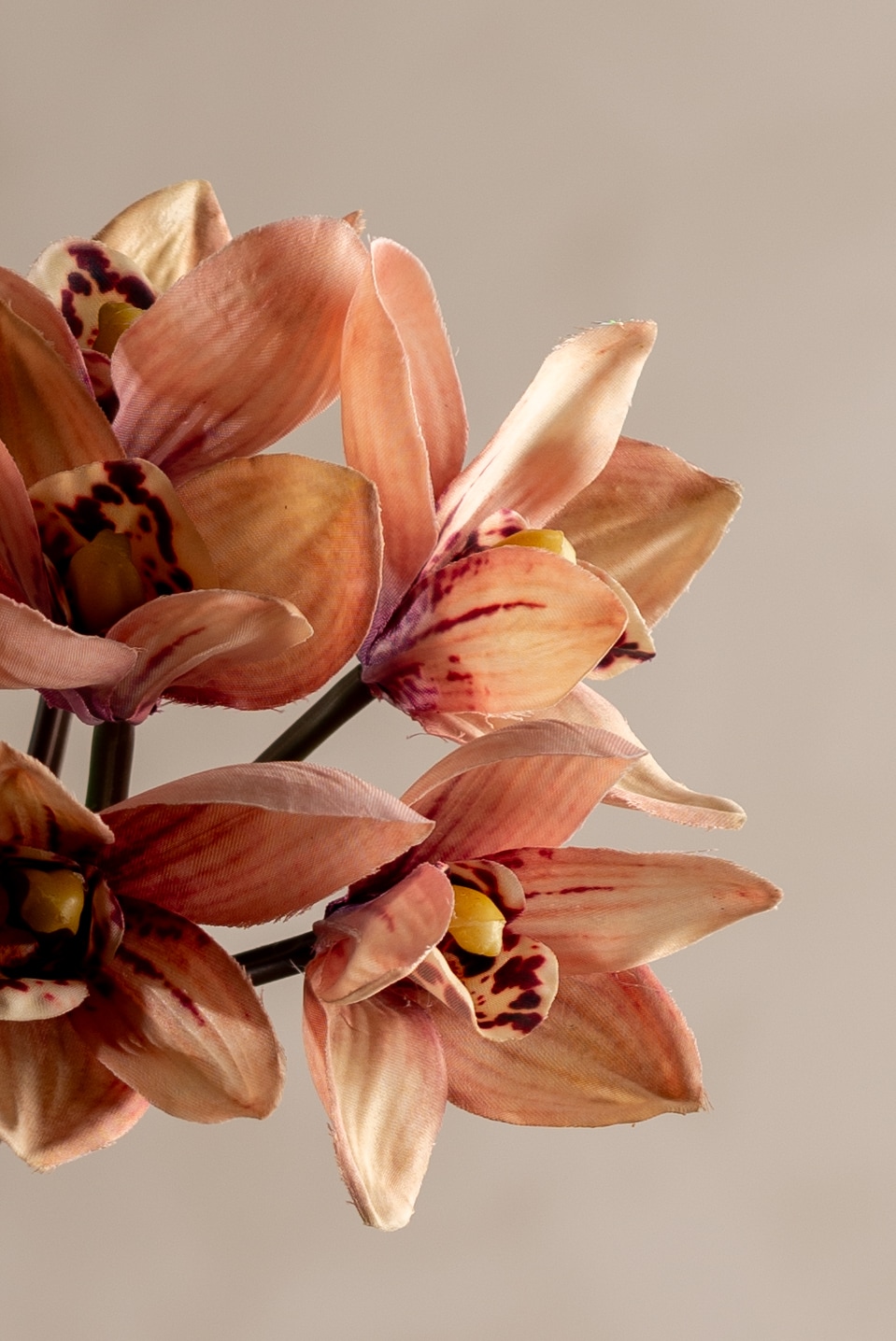 Konstgjord aprikosfärgad Cymbidium bunt 34cm