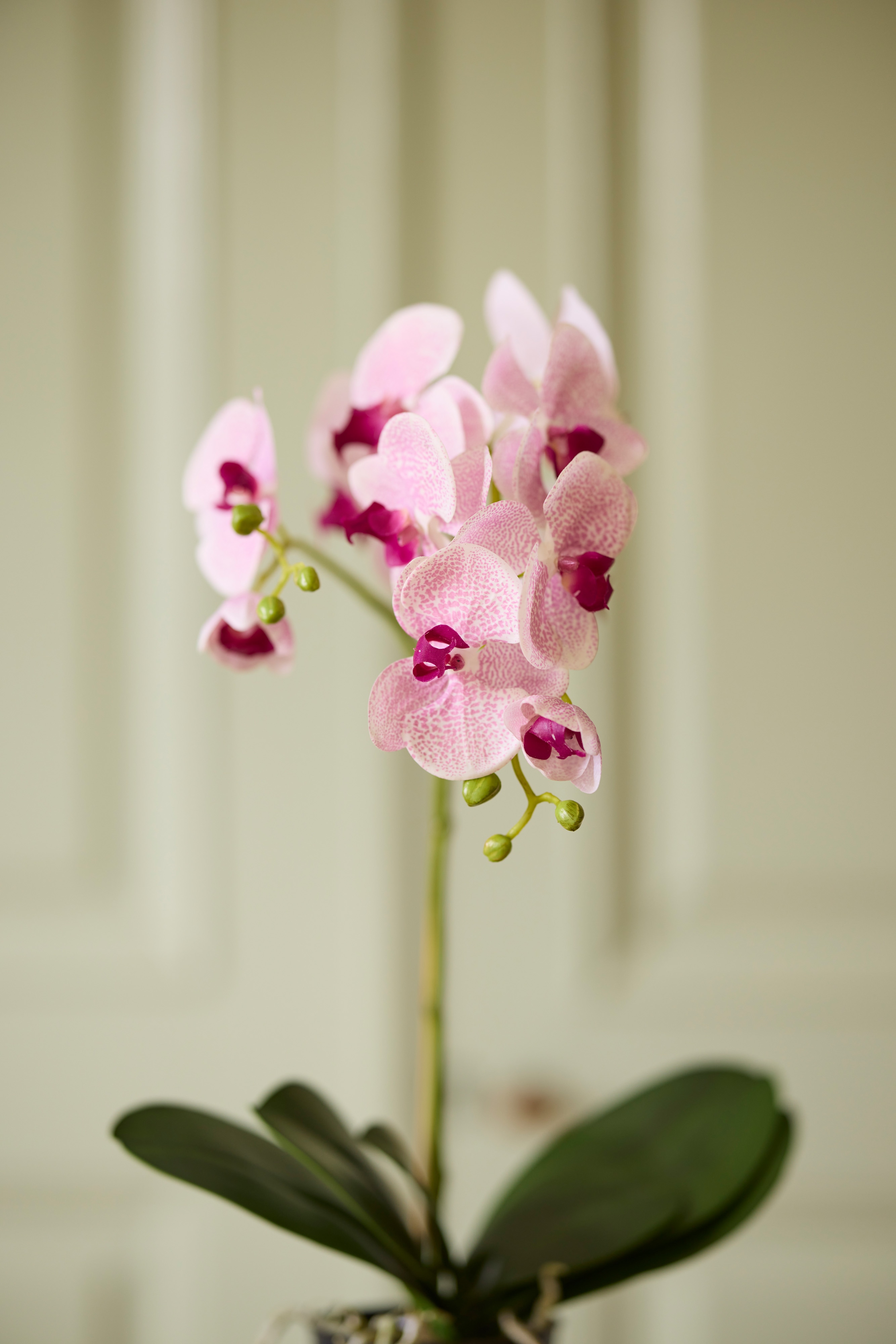 Konstgjord lila Phalaenopsis 60cm