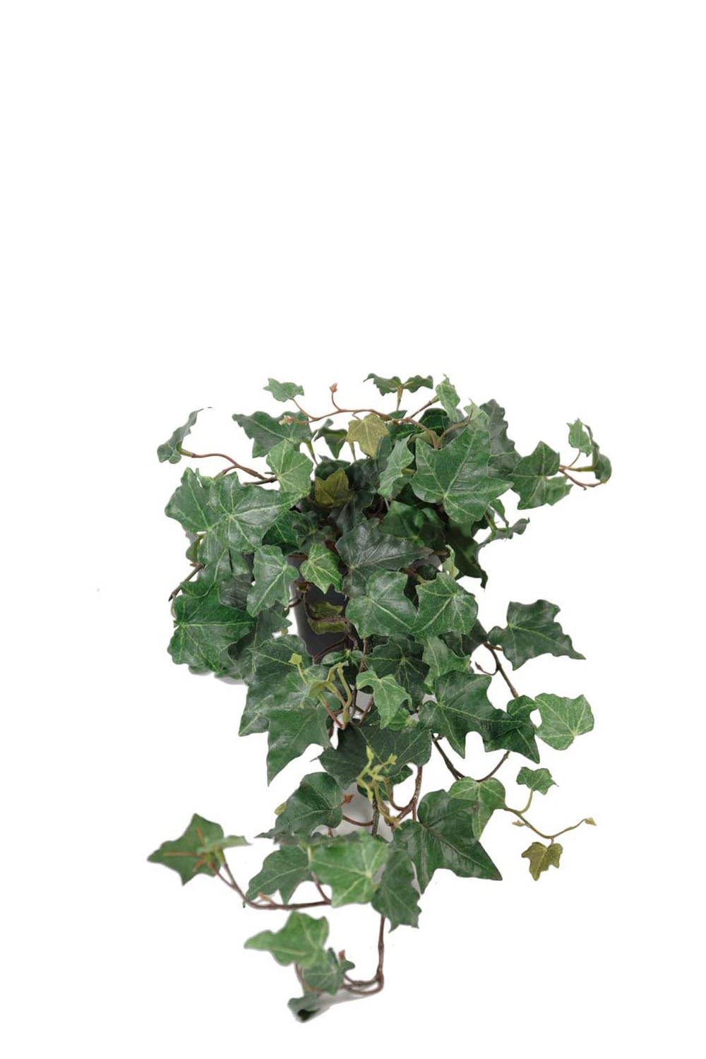 Konstgjord grön Murgröna 55cm