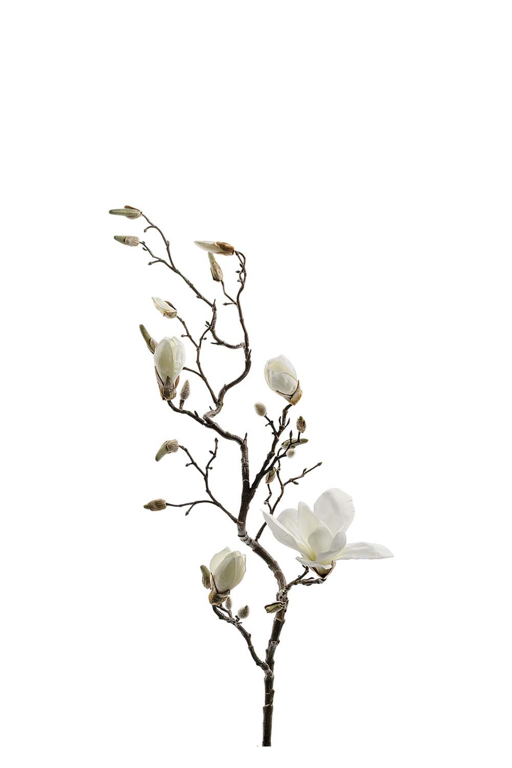 Konstgjord vit Magnolia 135cm
