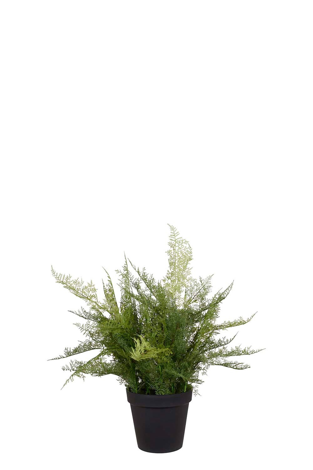 Konstgjord grön Plumosus 65cm