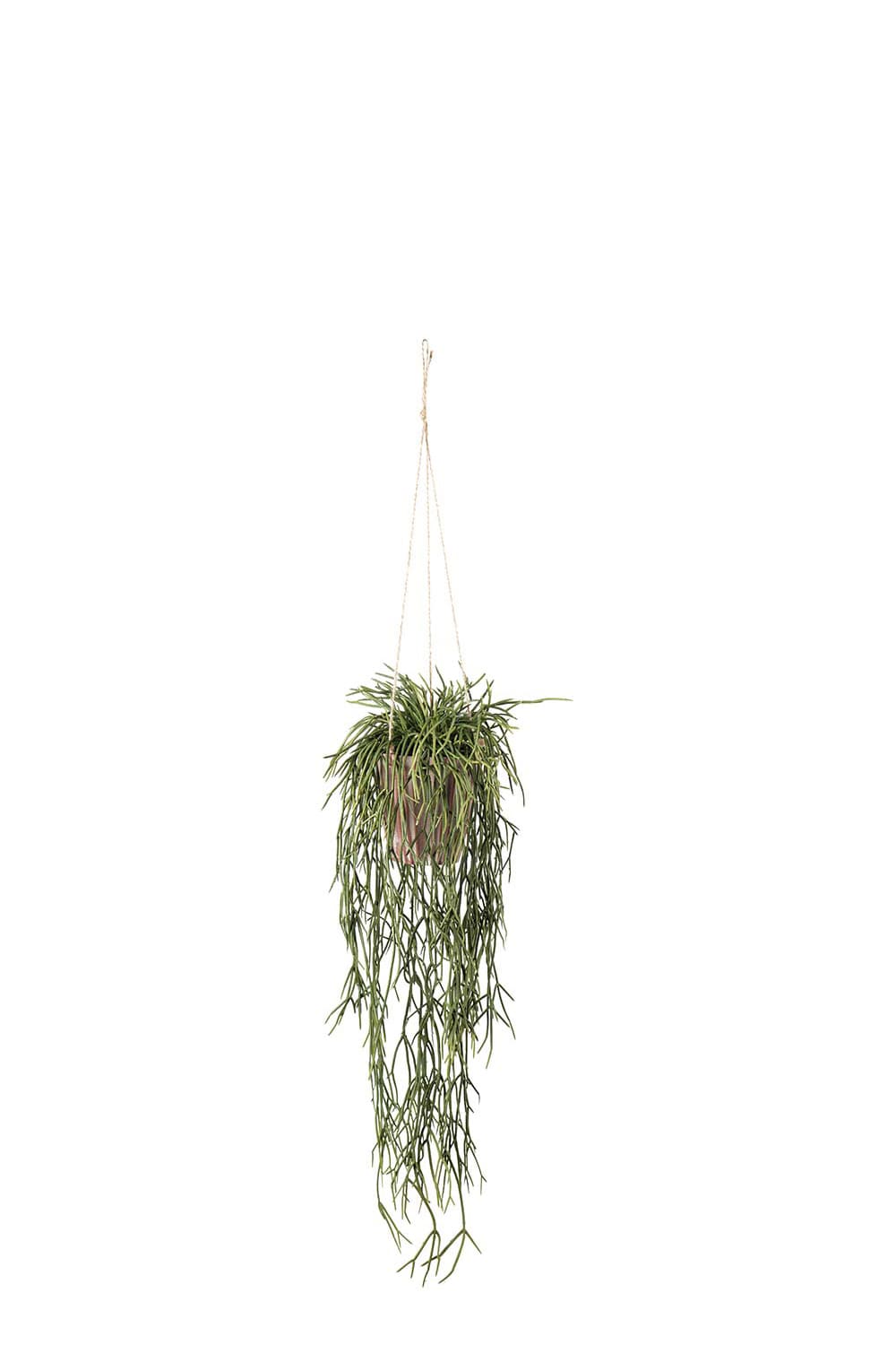 Konstgjord grön Rhipsalis 20cm