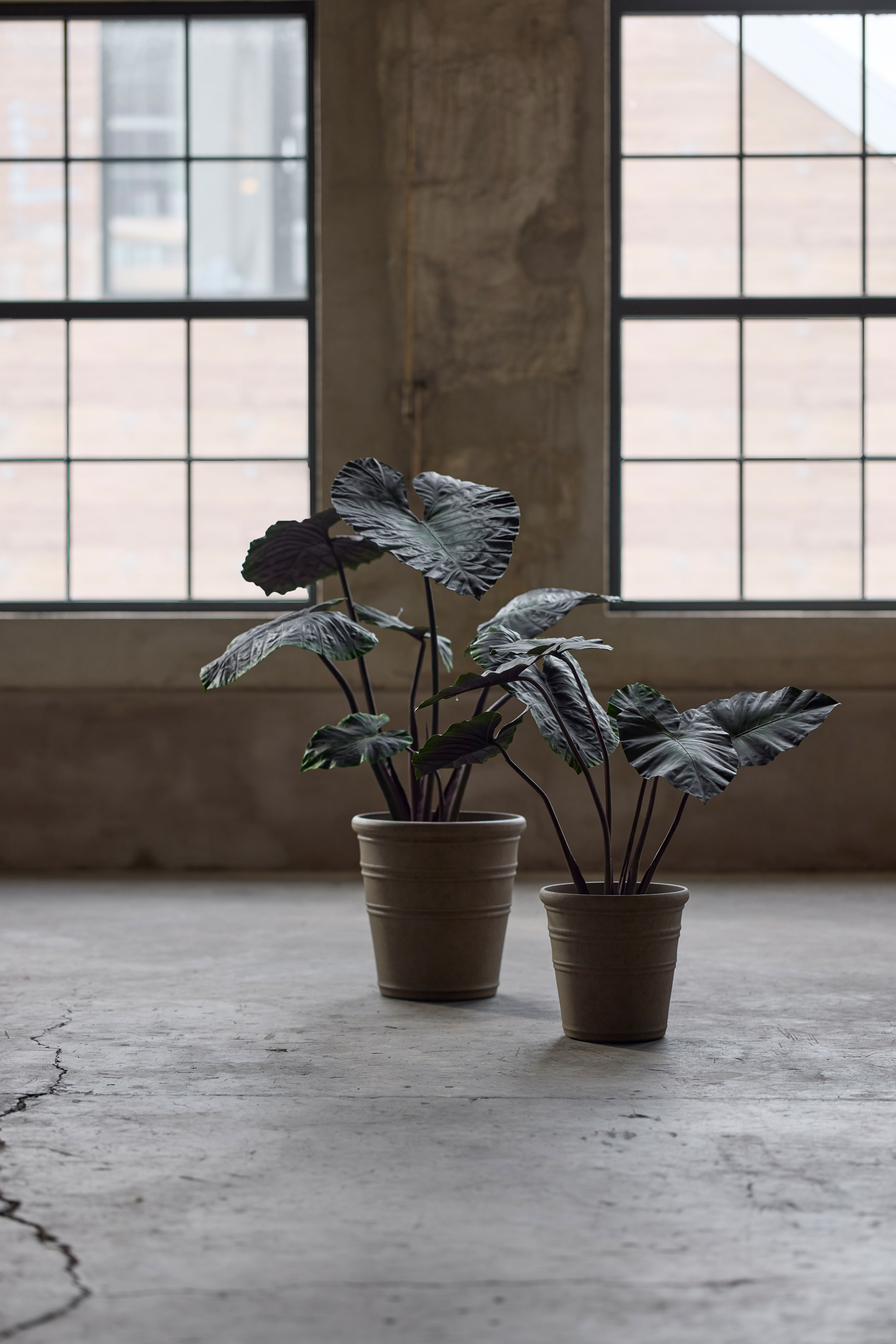 Konstgjord grön Alocasia 100cm