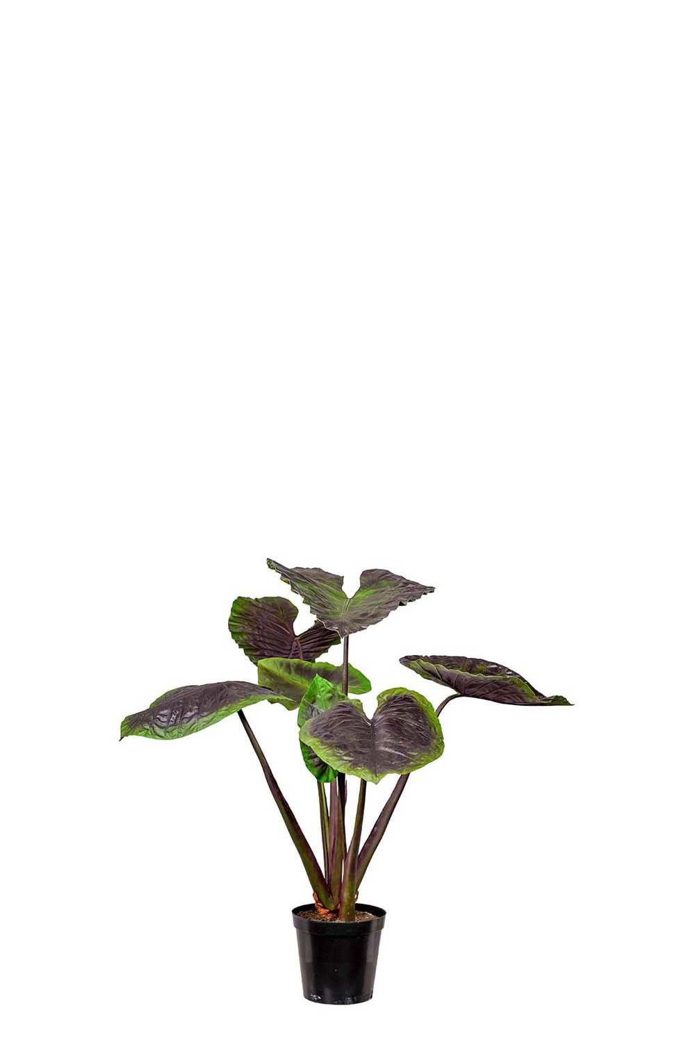 Konstgjord grön Alocasia 130cm