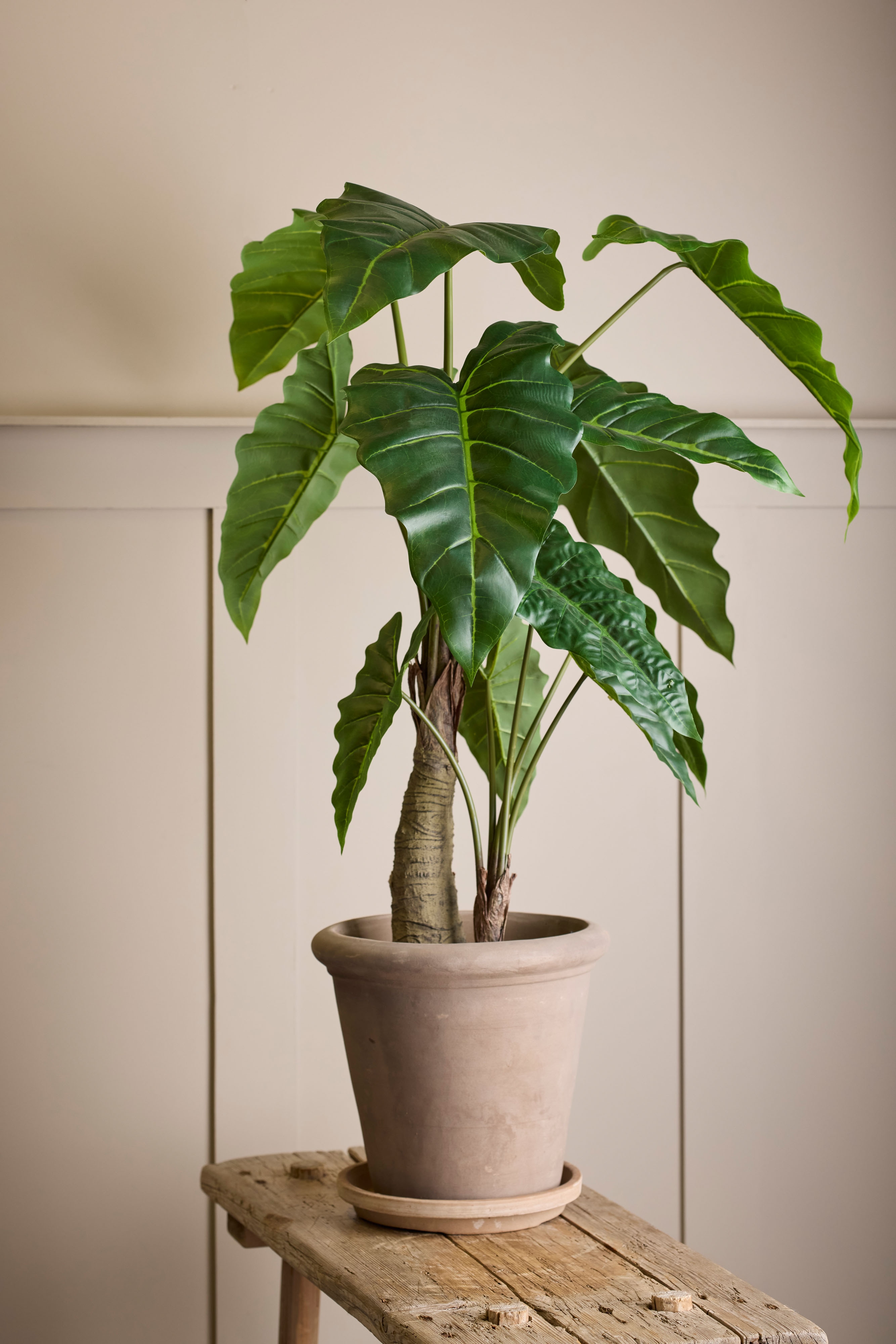 Konstgjord grön Alocasia 120cm