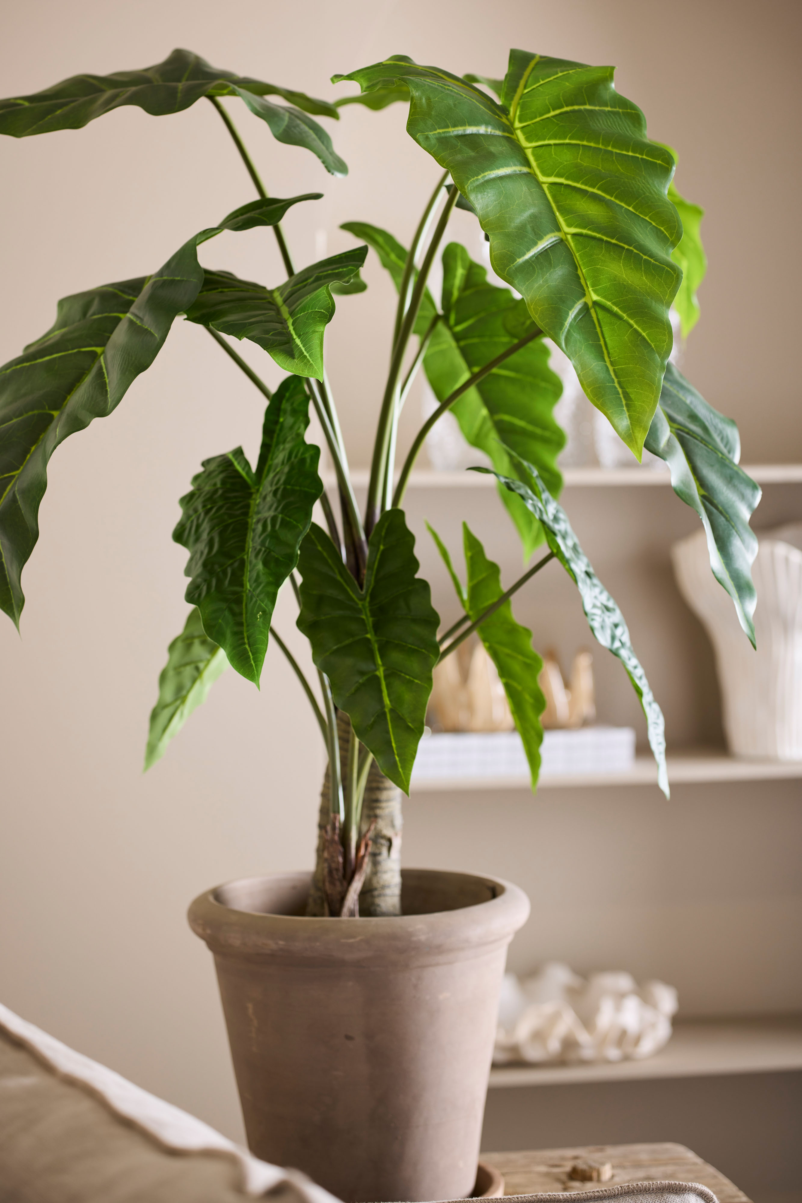 Konstgjord grön Alocasia 120cm