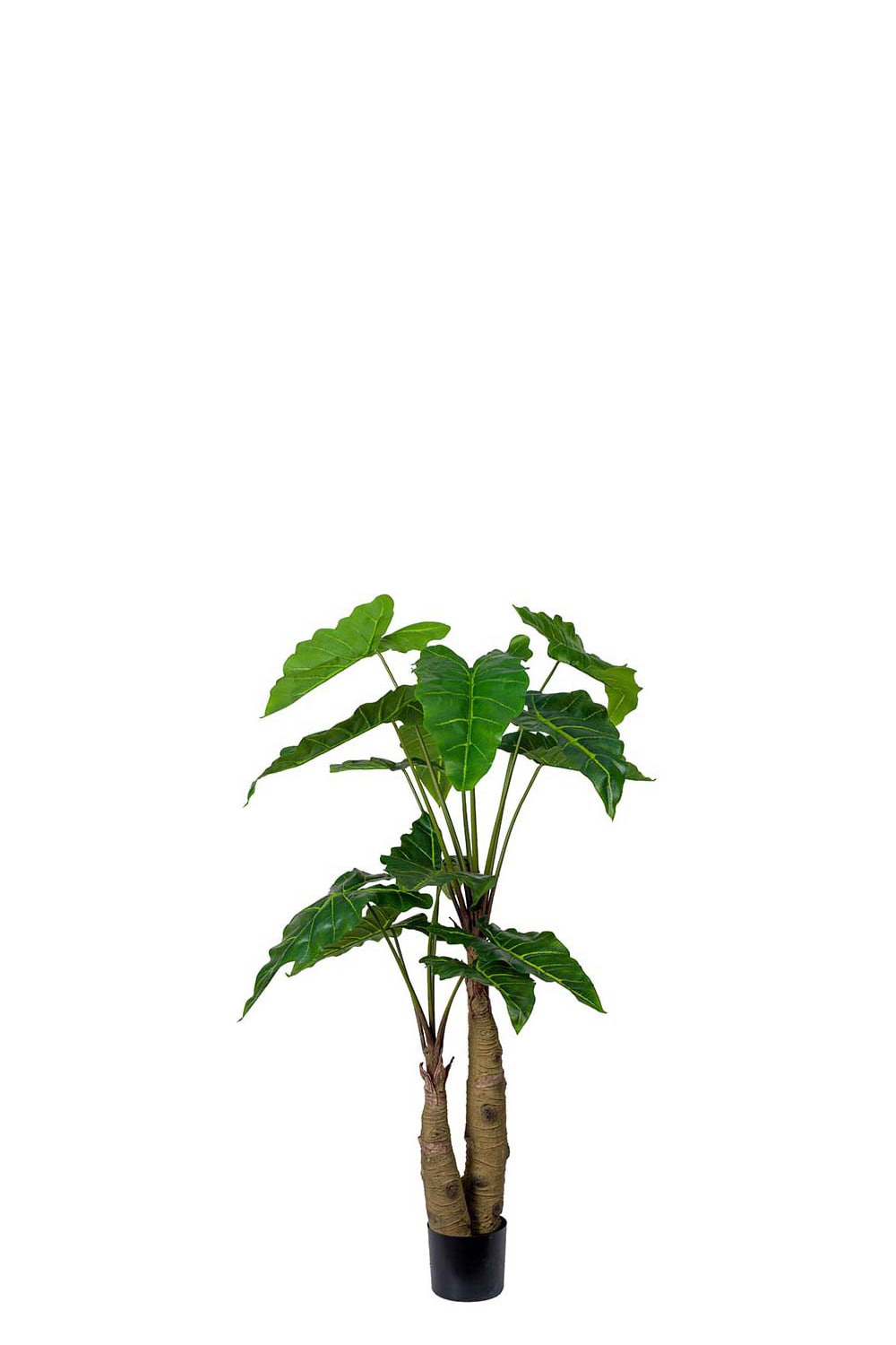 Konstgjord grön Alocasia 150cm