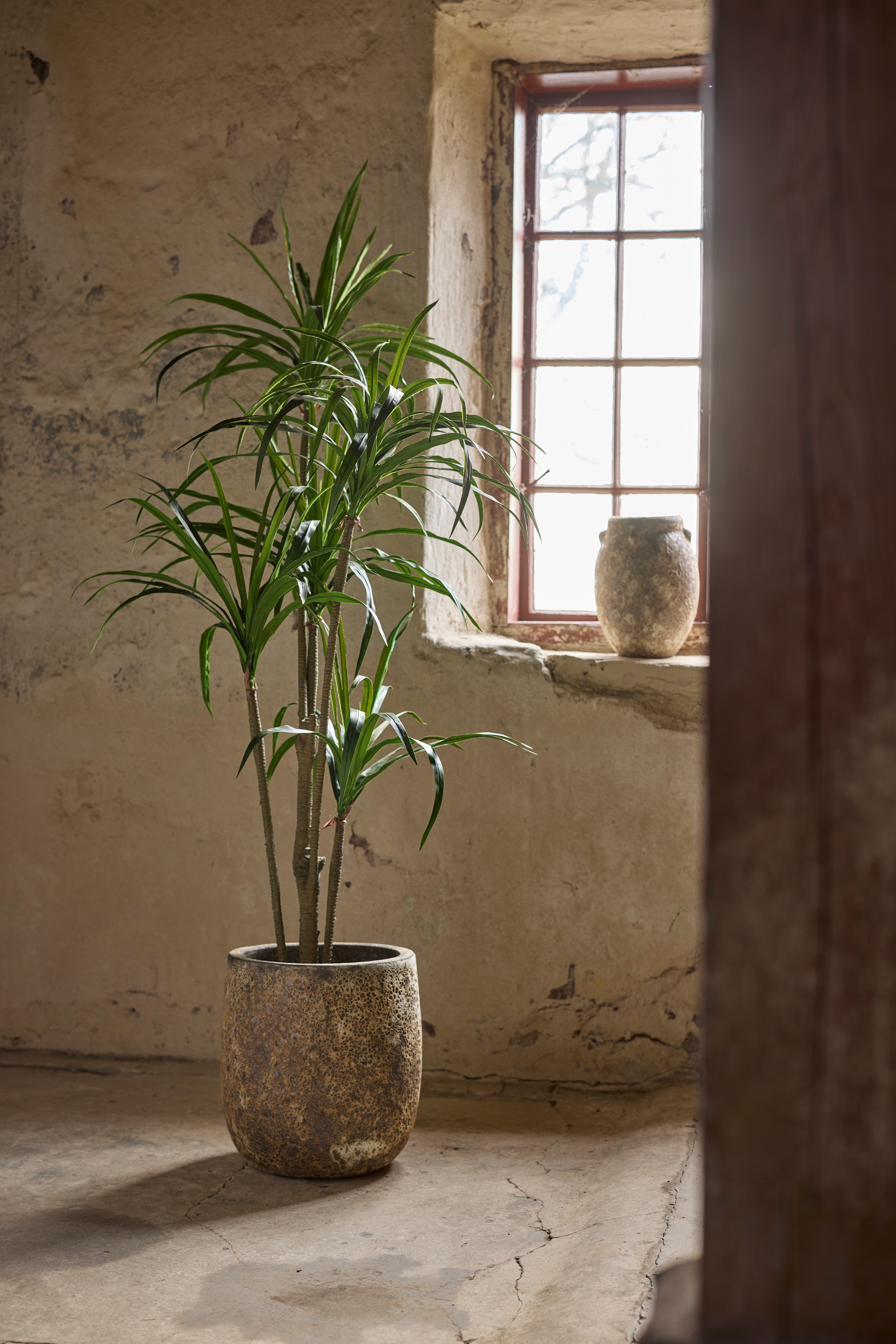 Konstgjord grön Dracena 180cm