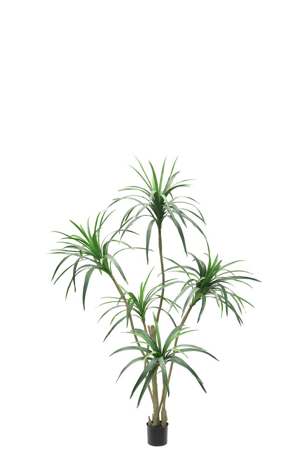 Konstgjord grön Dracena 180cm