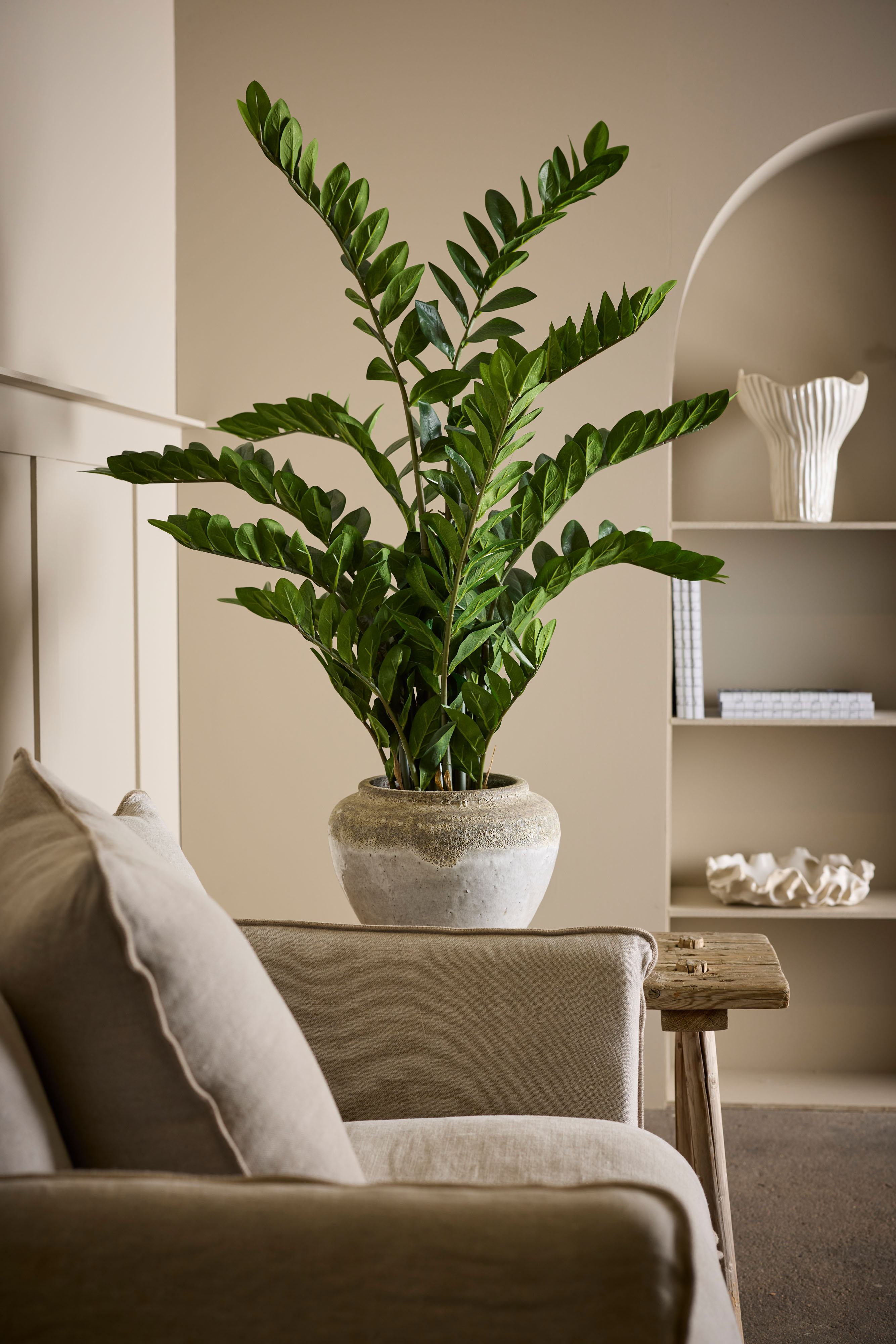Konstgjord grön Zamifolia i kruka 130cm