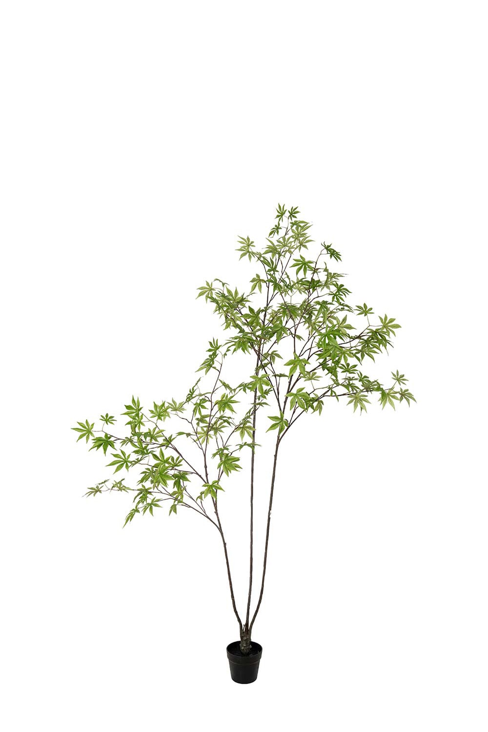 Konstgjord grön Japansk Lönn 220cm