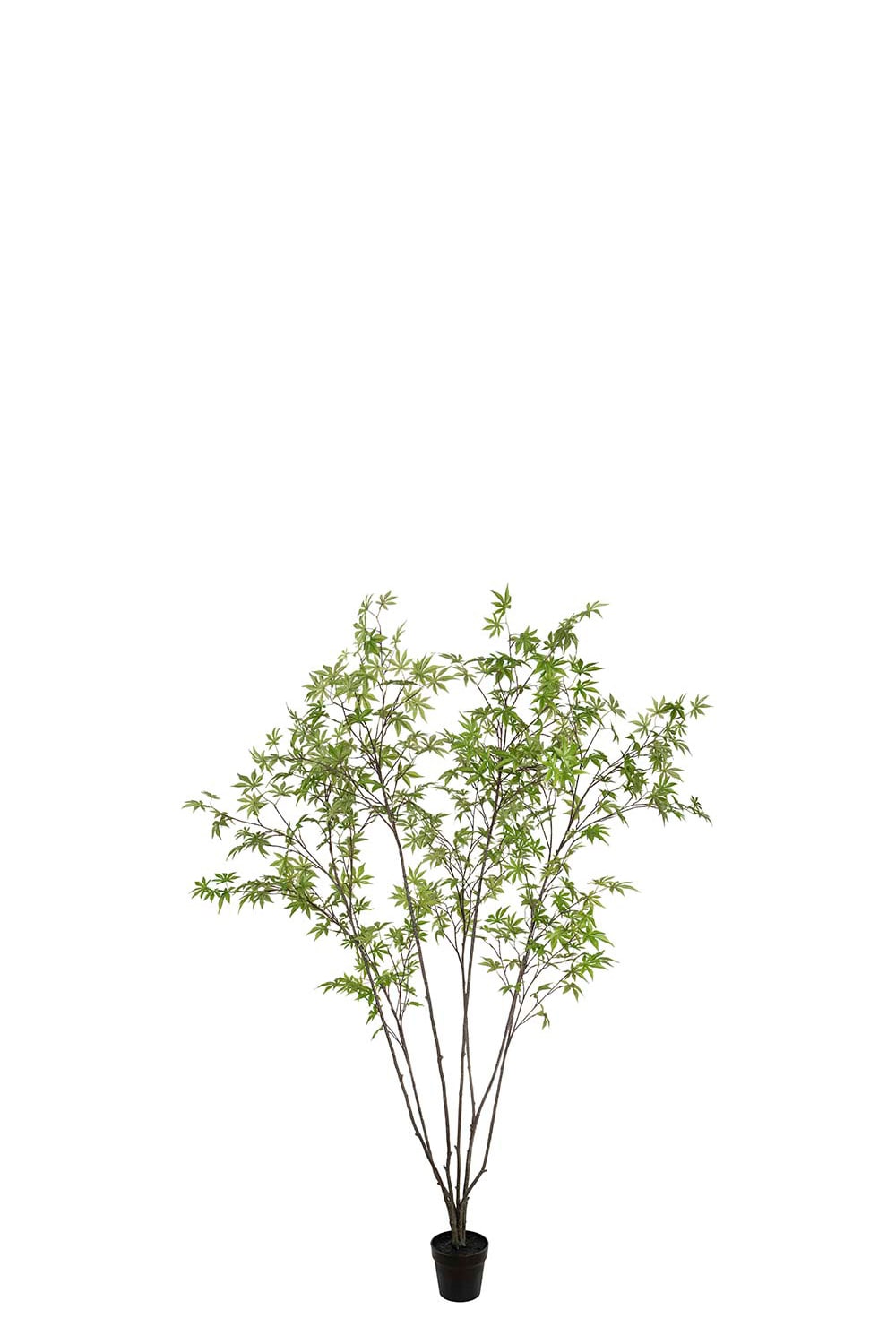 Konstgjord grön Japansk Lönn 240cm