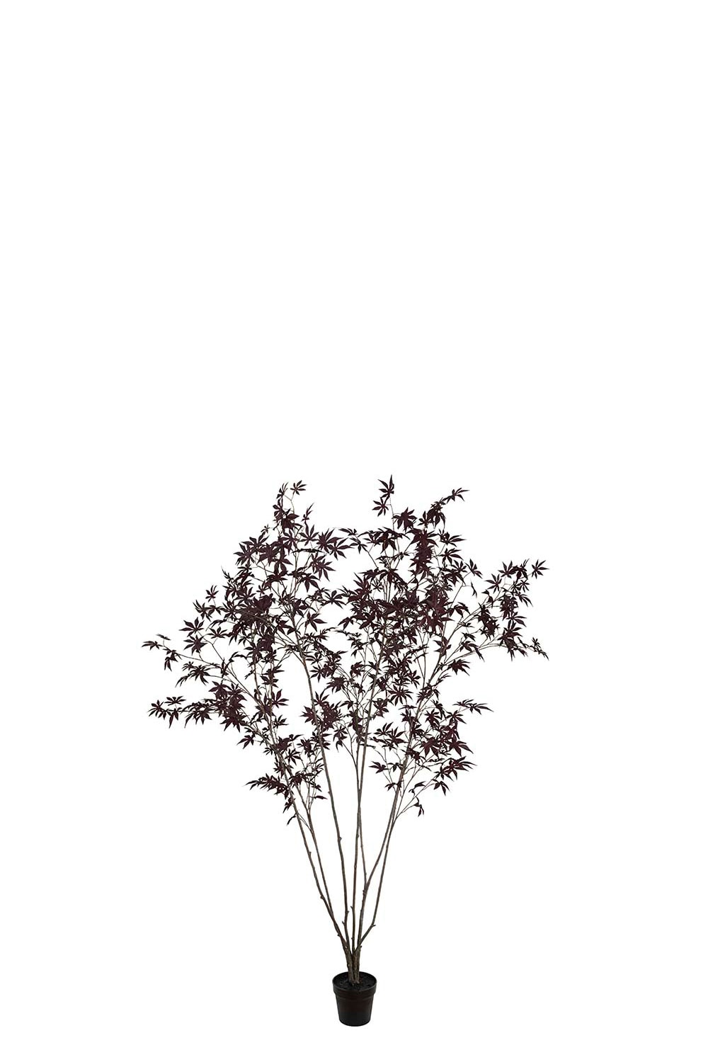Konstgjord burgundy Japansk Lönn 240cm