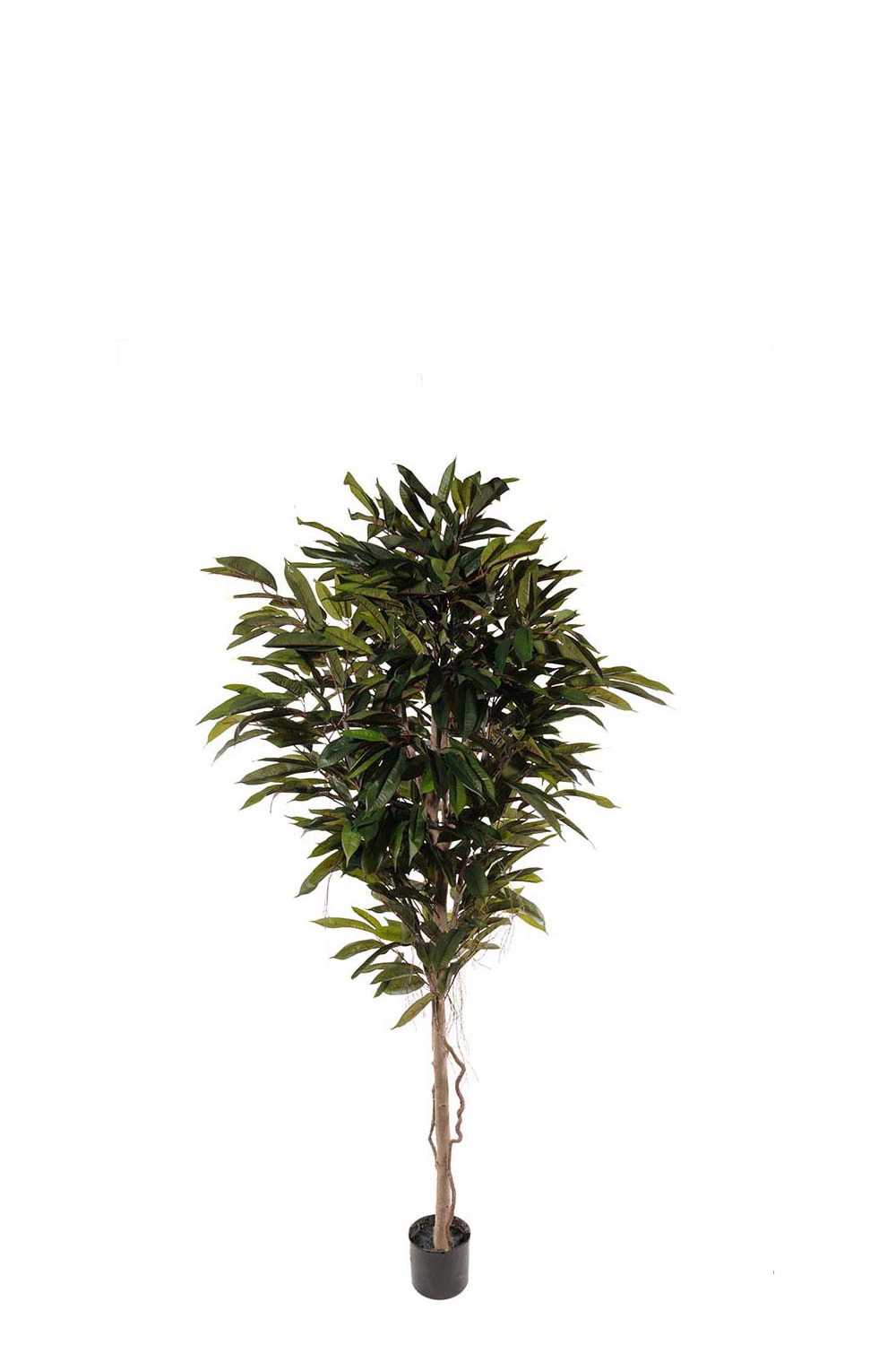 Konstgjord Longifolia 200cm