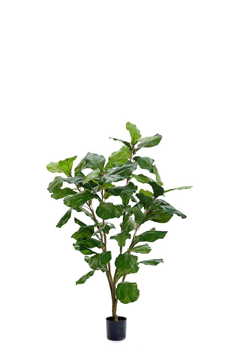 Konstgjord grön Fiolfikus 120cm