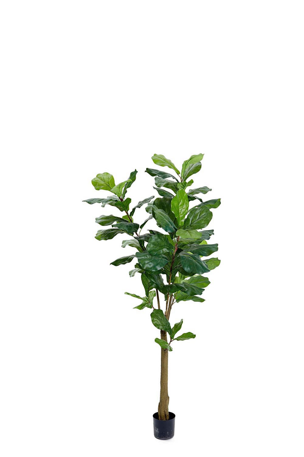 Konstgjord grön Fiolfikus 150cm