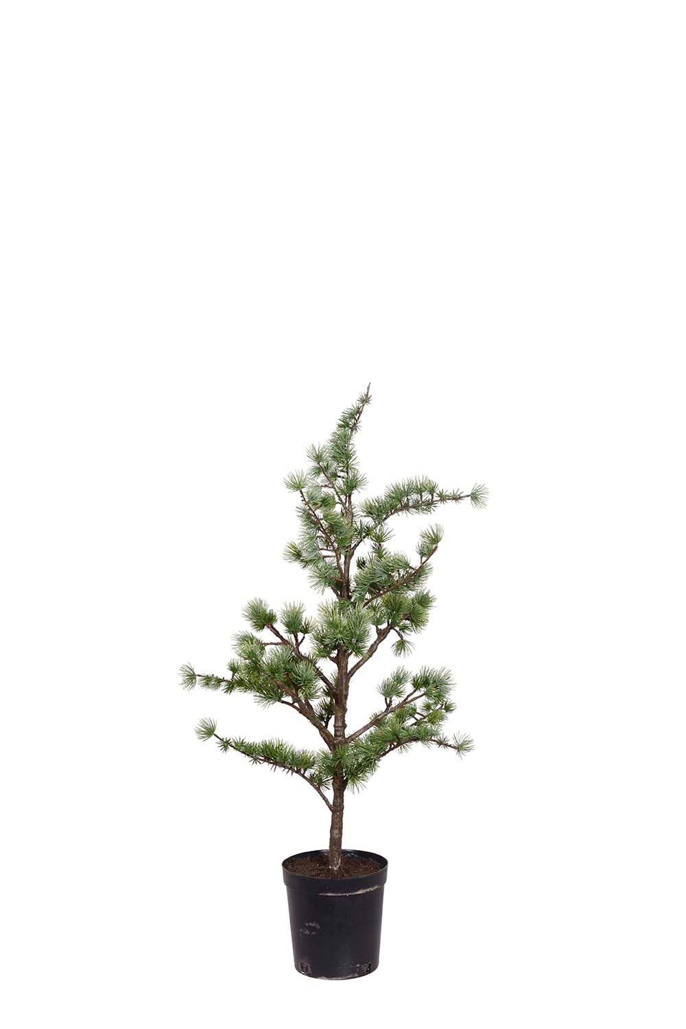 Konstgjort Grönt Cederträd i Kruka 80cm